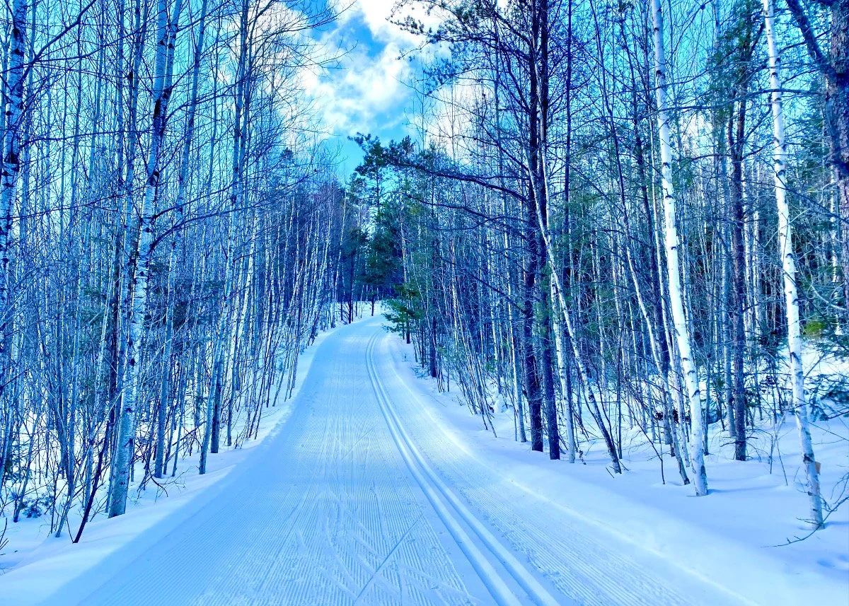 GEL-Deer-Mouse-Trail.jpg