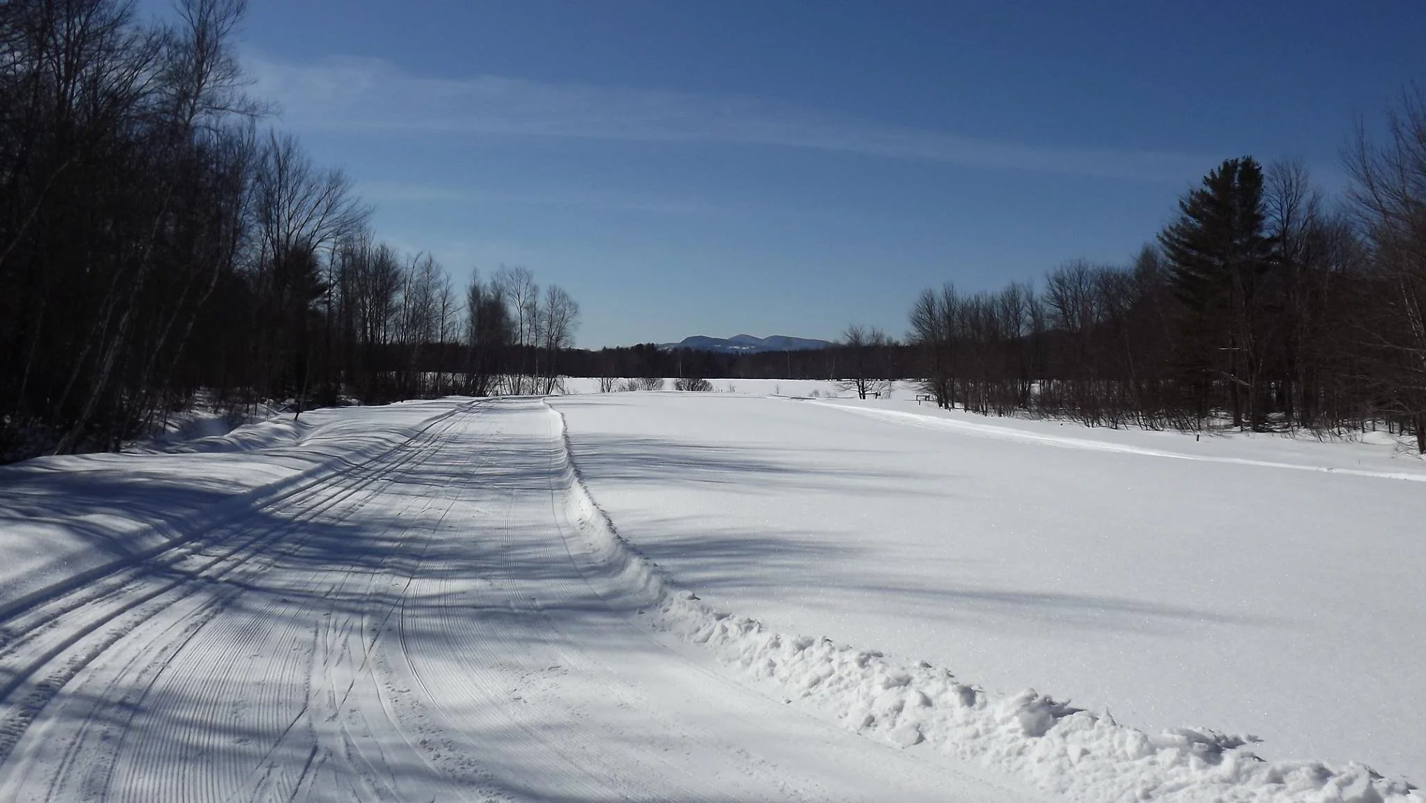 Carter's XC Ski Center.jpeg