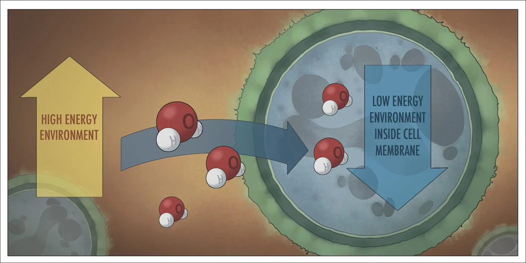 Mold2.jpg