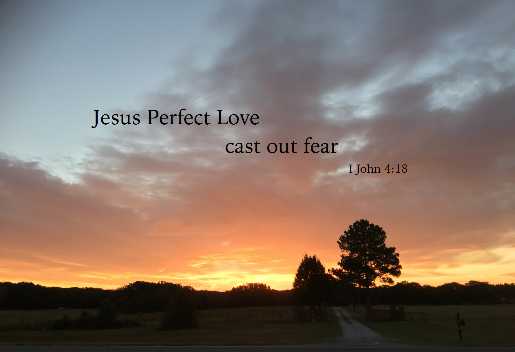 PerfectLove.jpg