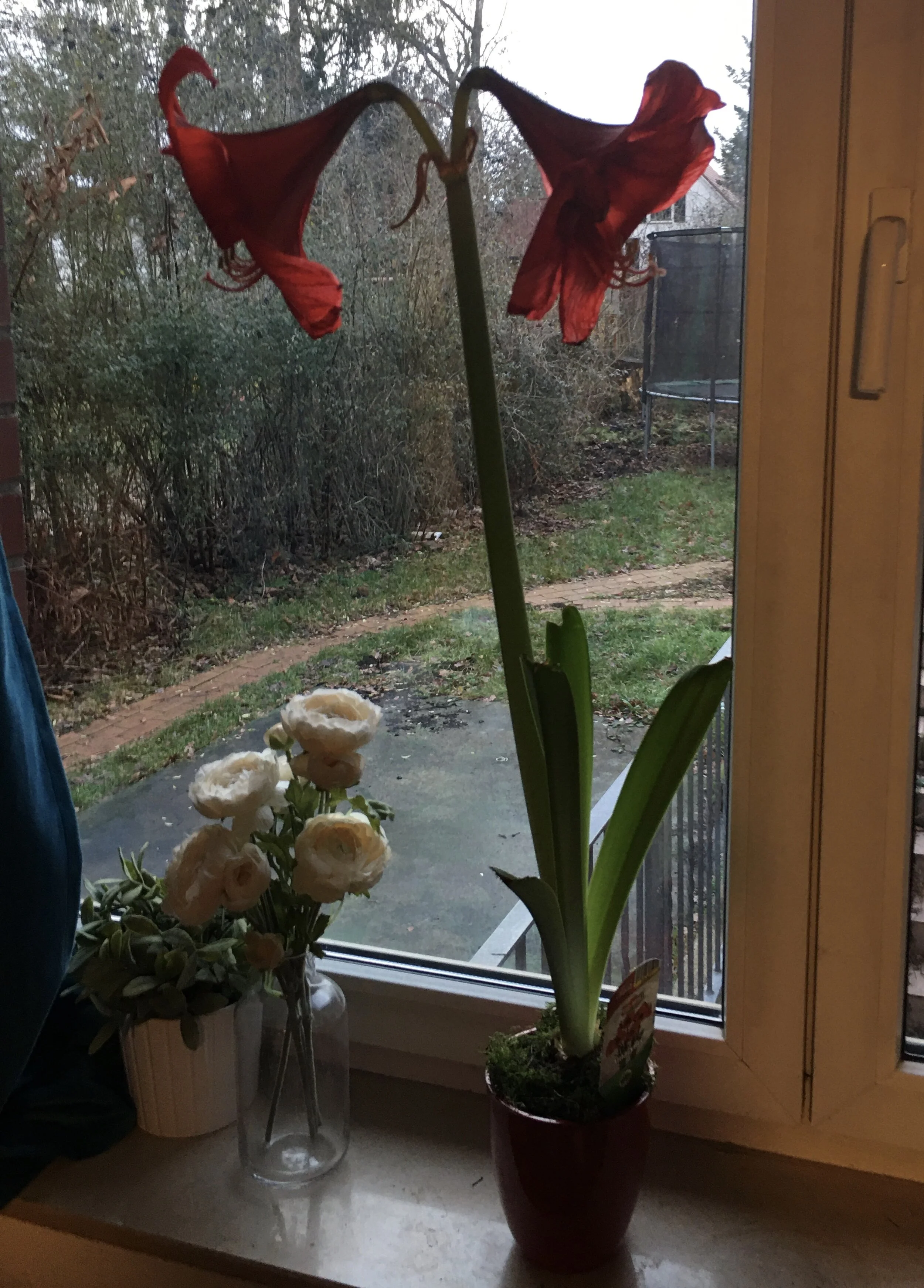 November / December 2019