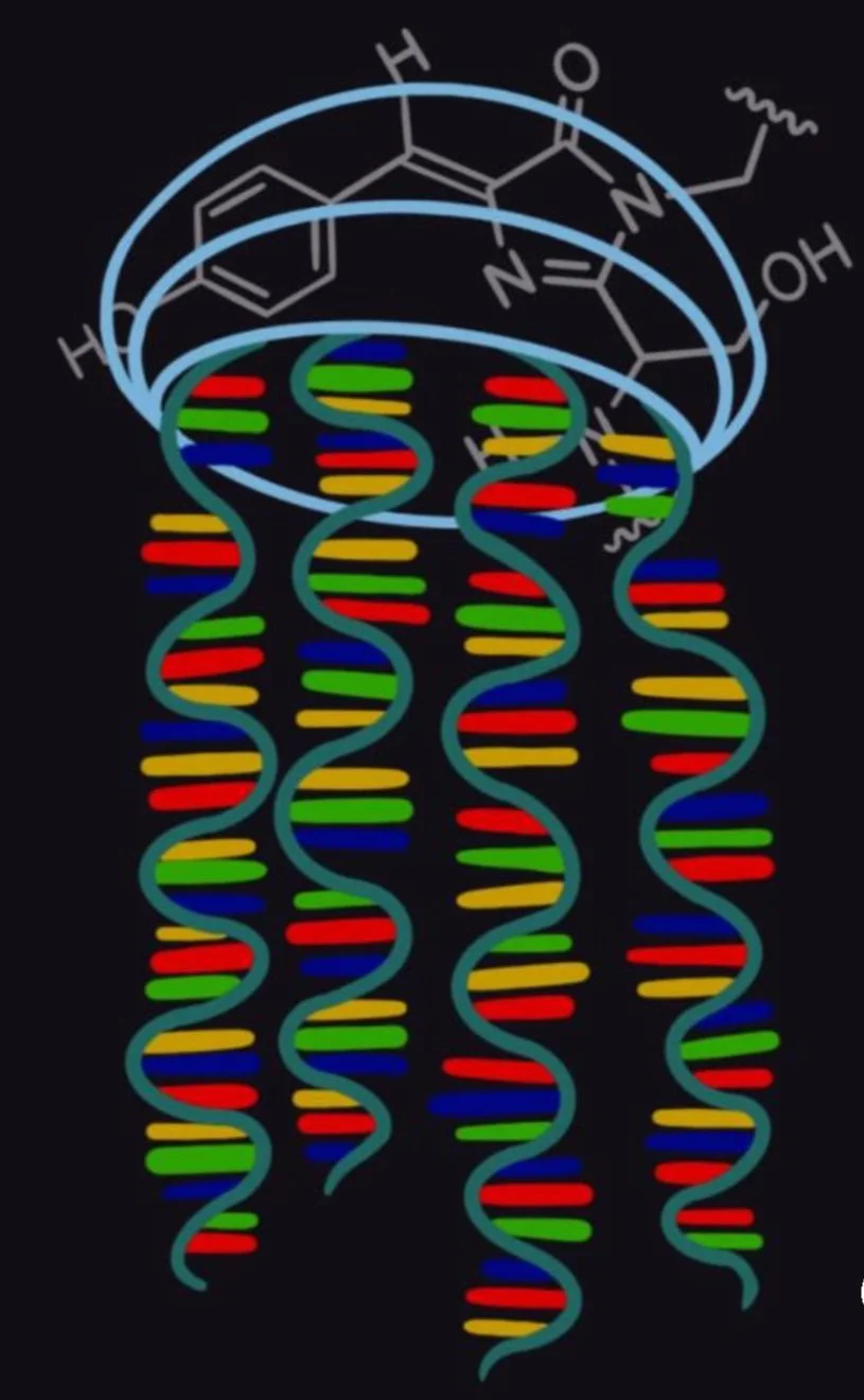 Light Up Science Camp