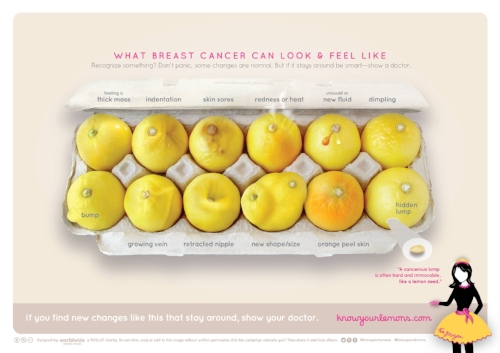 Sourced from: http://www.worldwidebreastcancer.com/