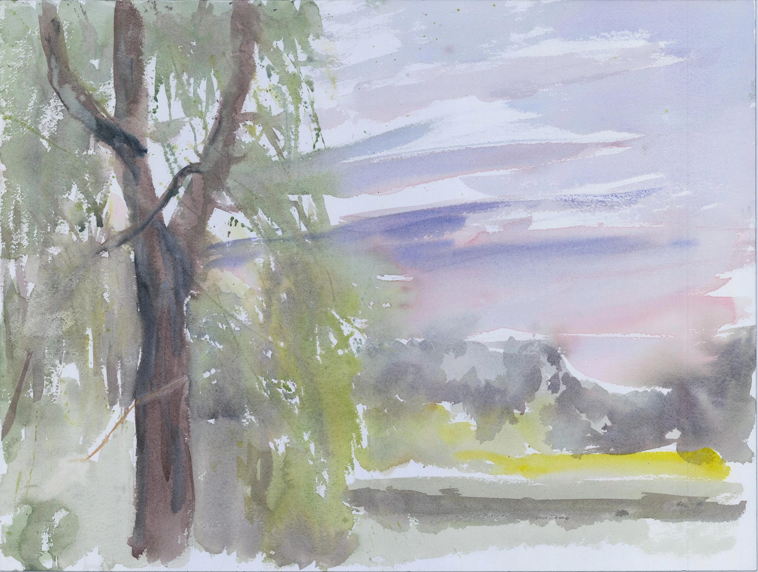 Dusk Willow