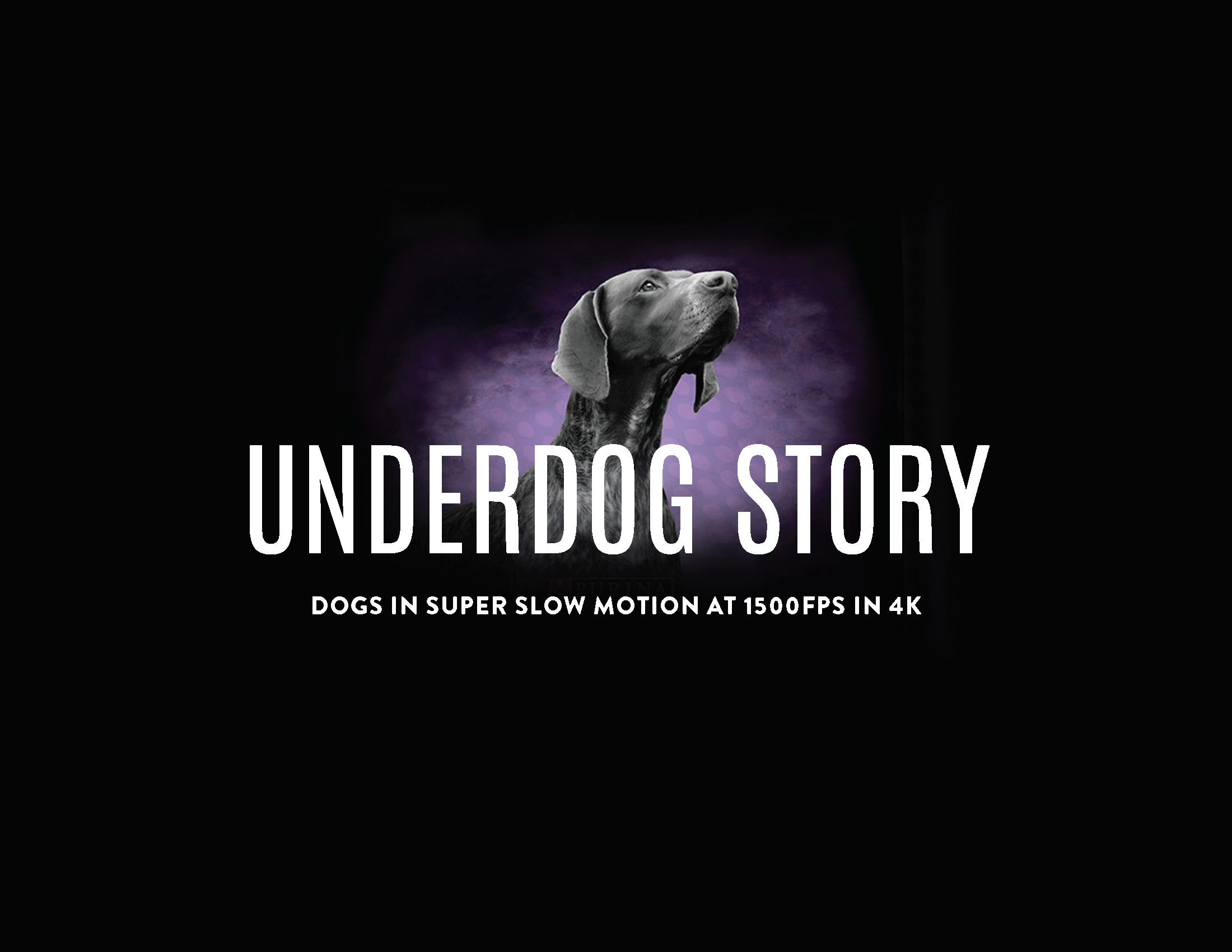 Underdog Deck_Page_01.png