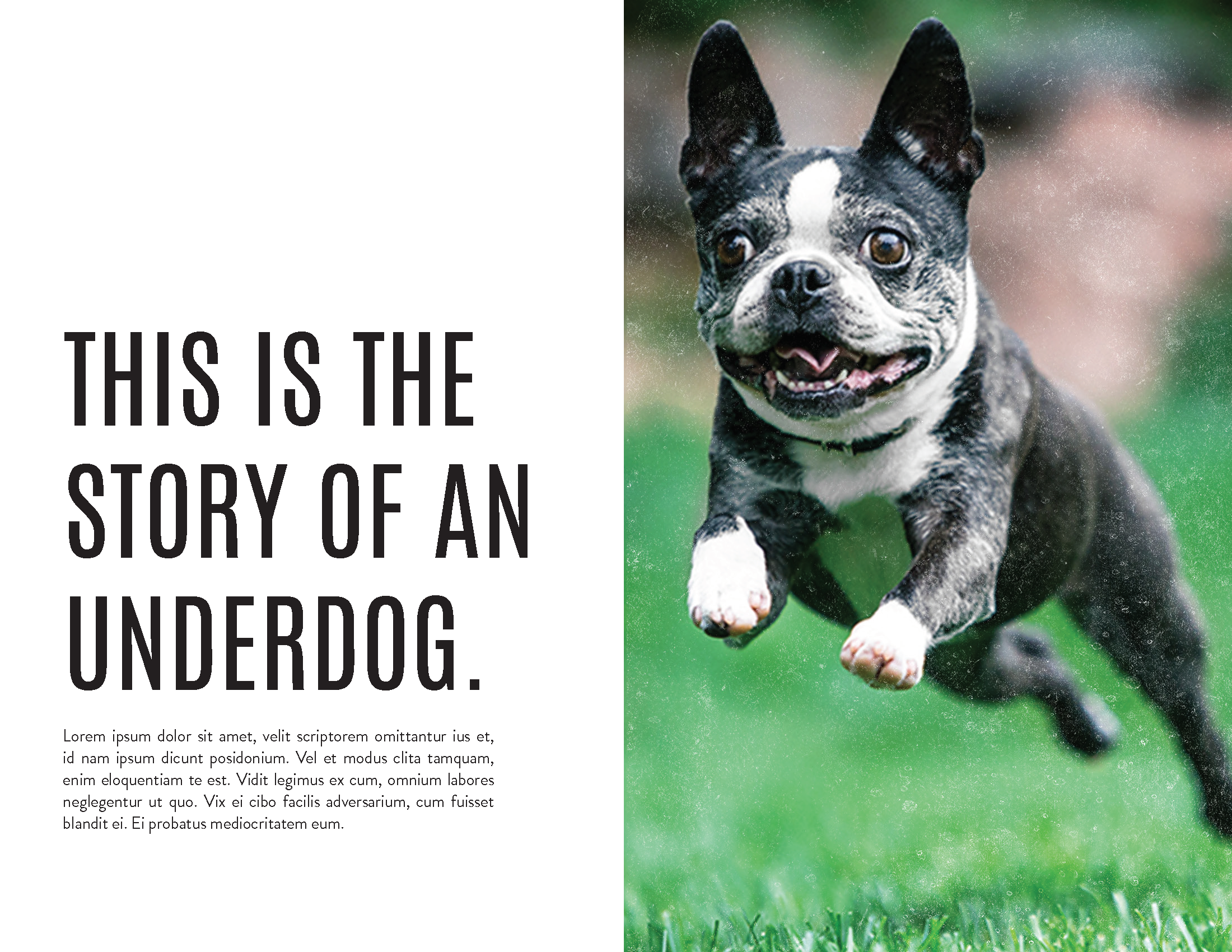 Underdog Deck_Page_02.png