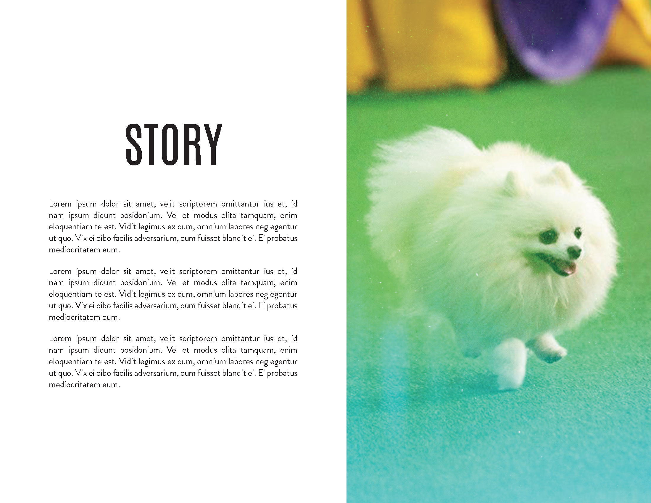 Underdog Deck_Page_04.png