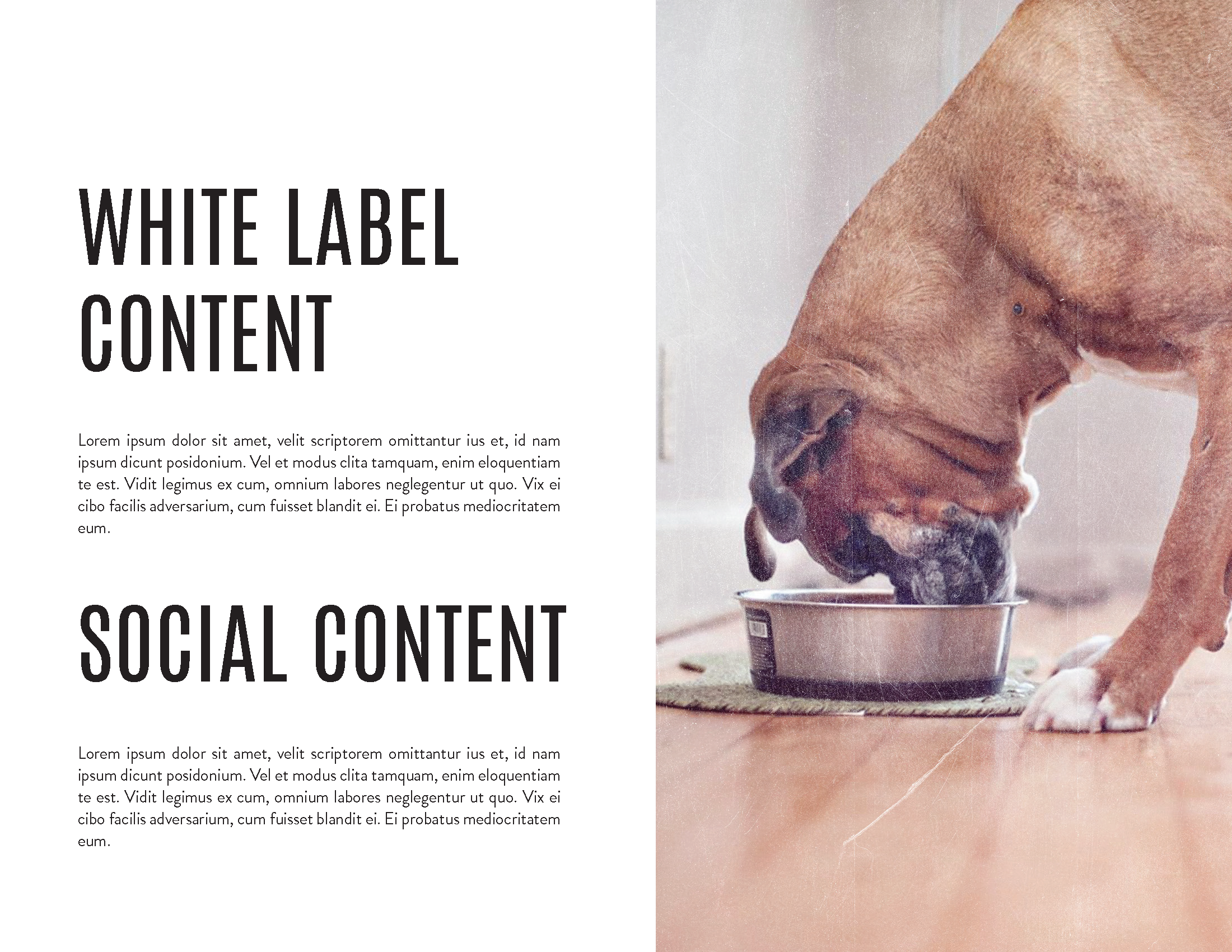 Underdog Deck_Page_06.png