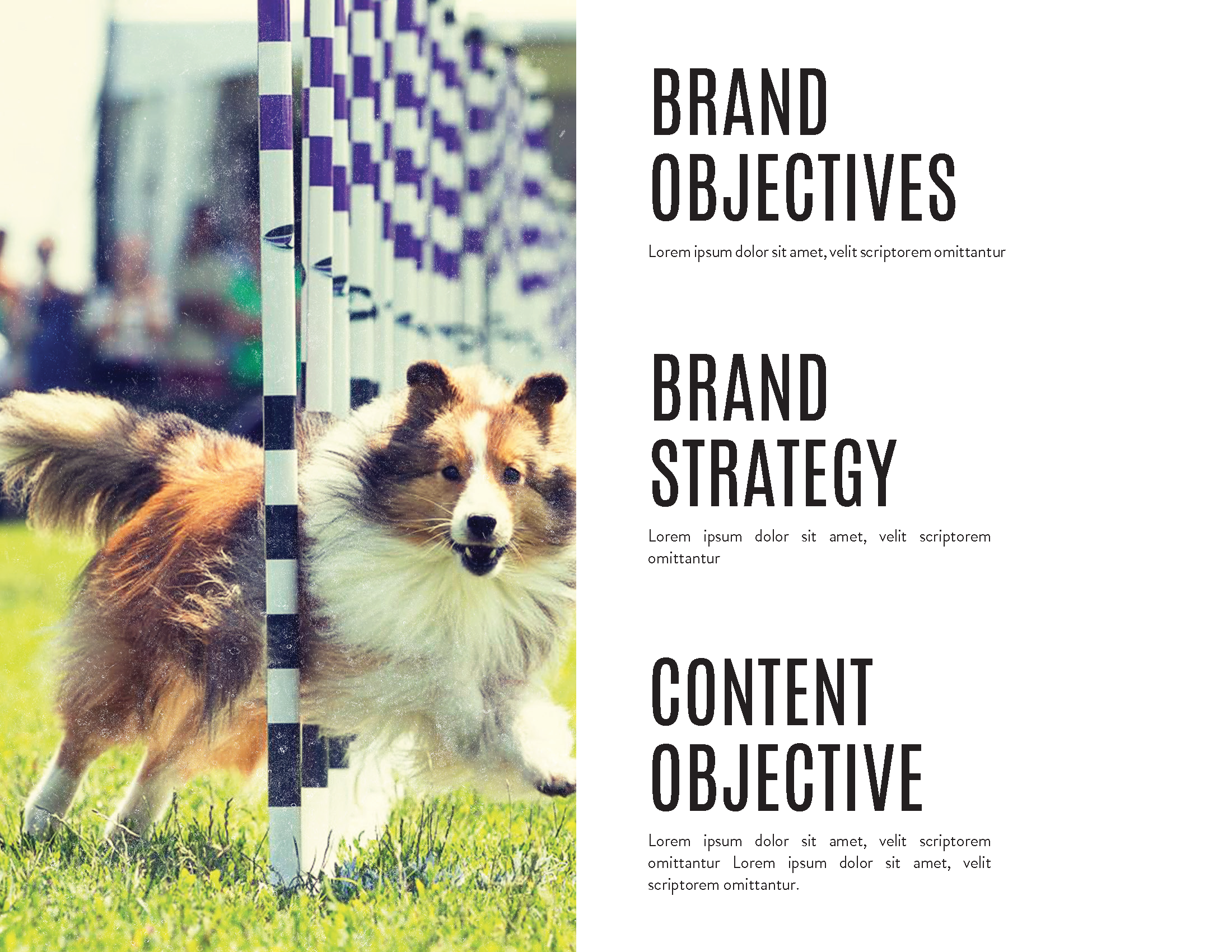 Underdog Deck_Page_07.png