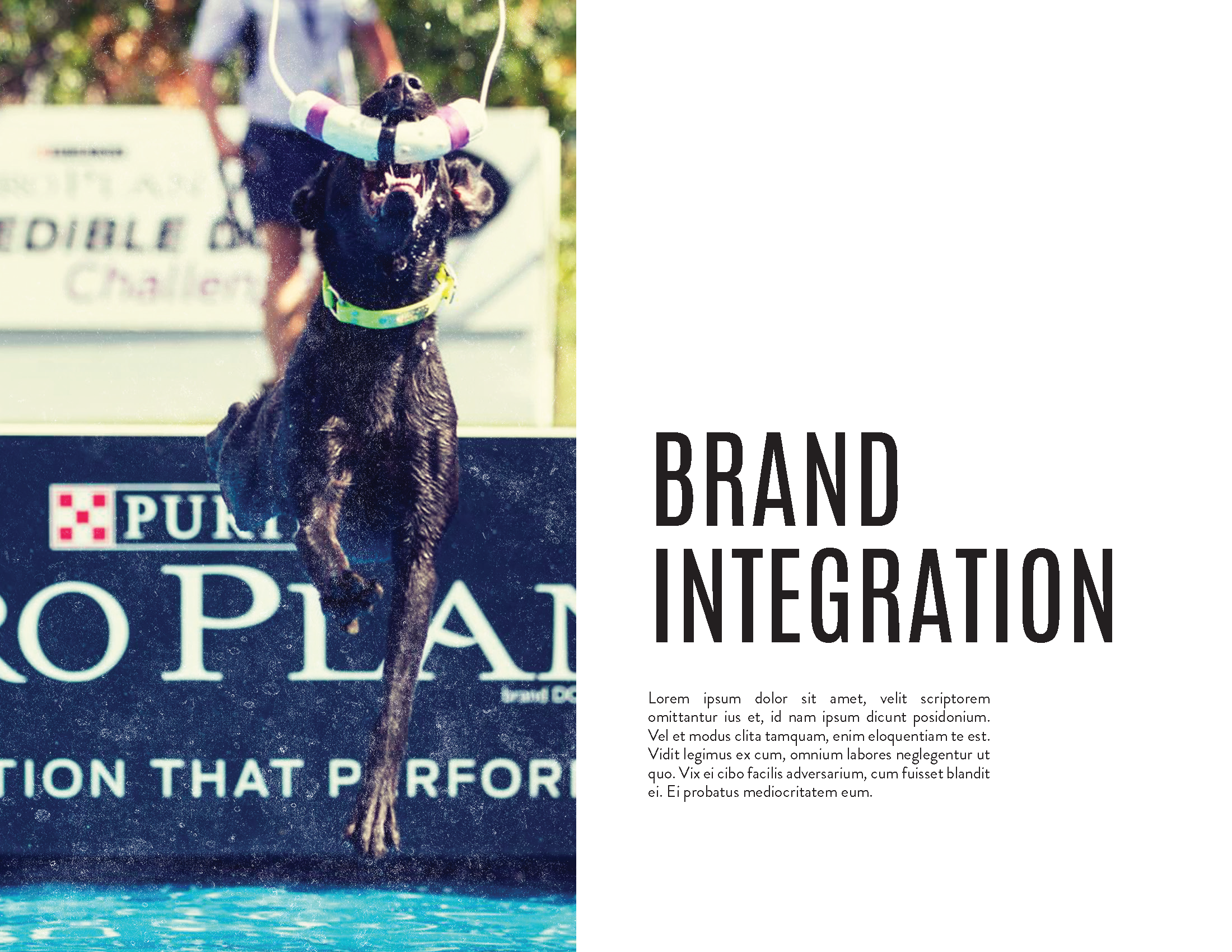 Underdog Deck_Page_08.png