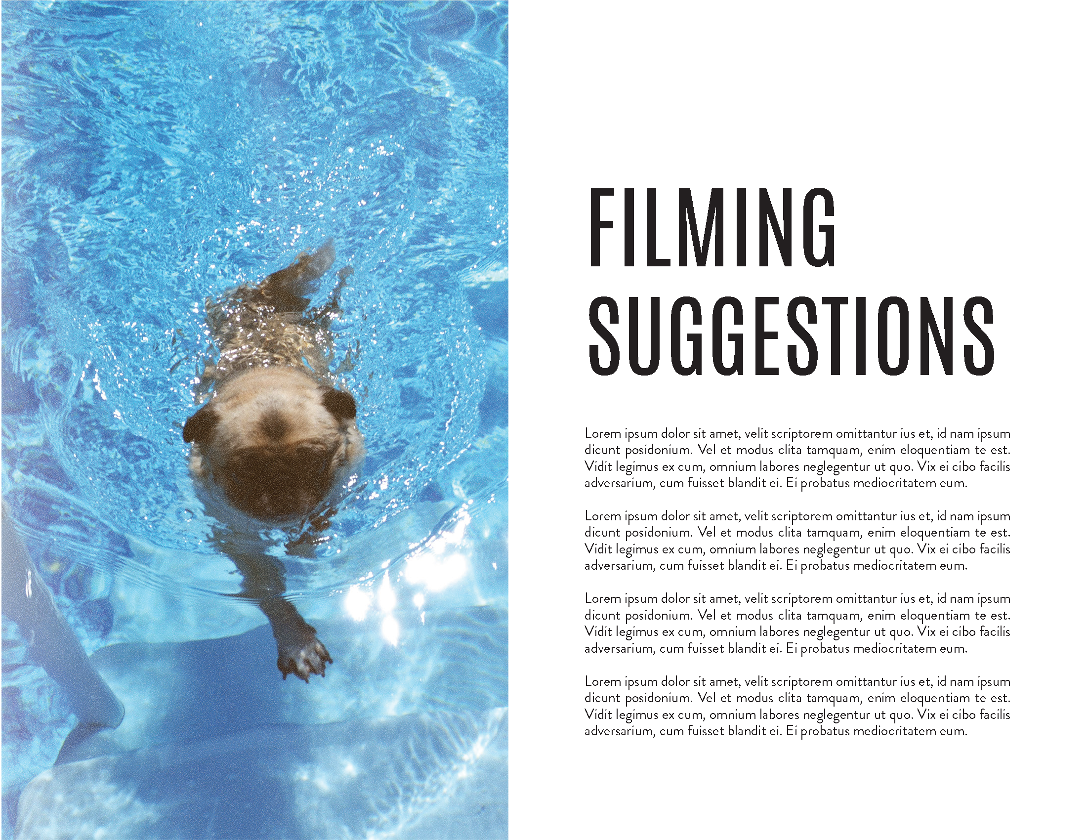 Underdog Deck_Page_10.png