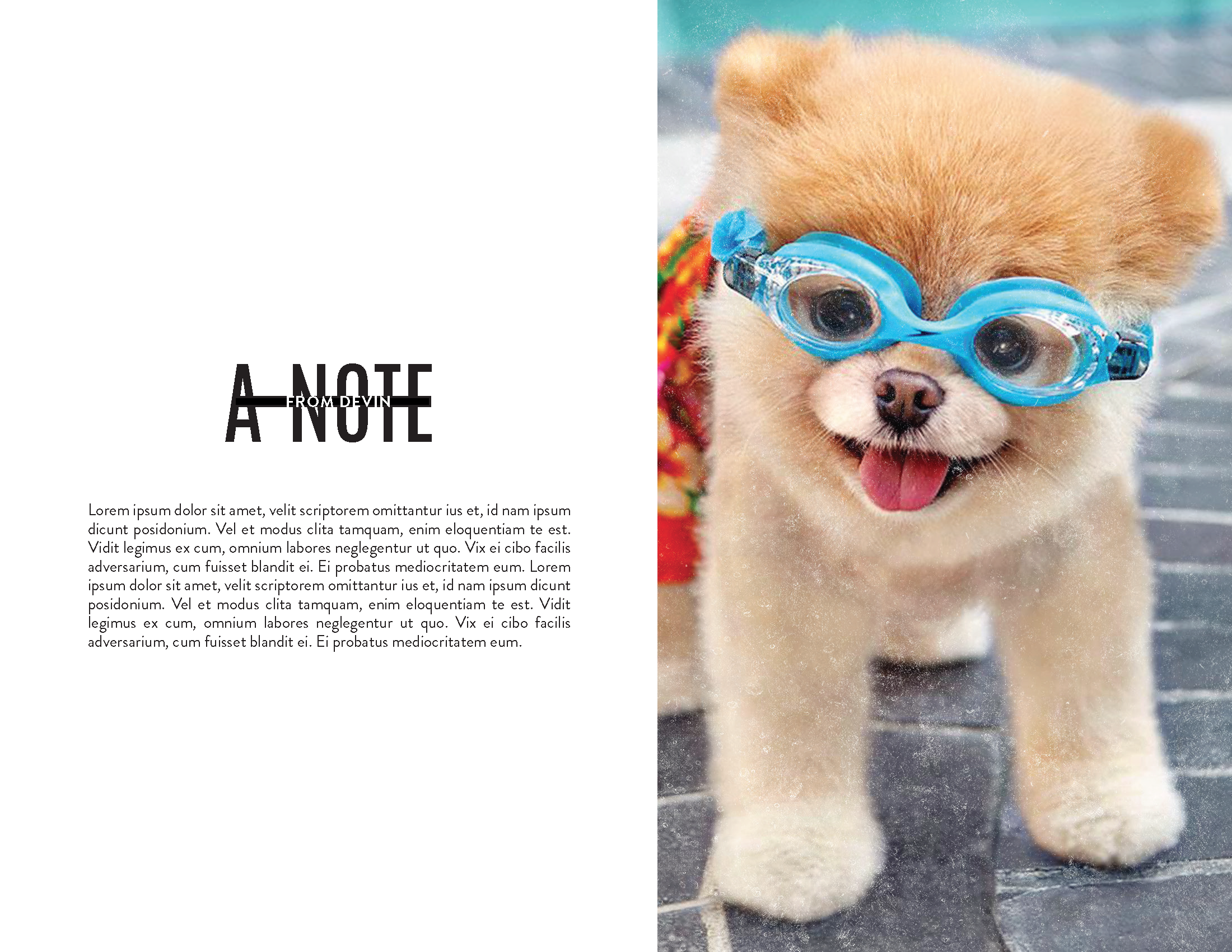 Underdog Deck_Page_11.png