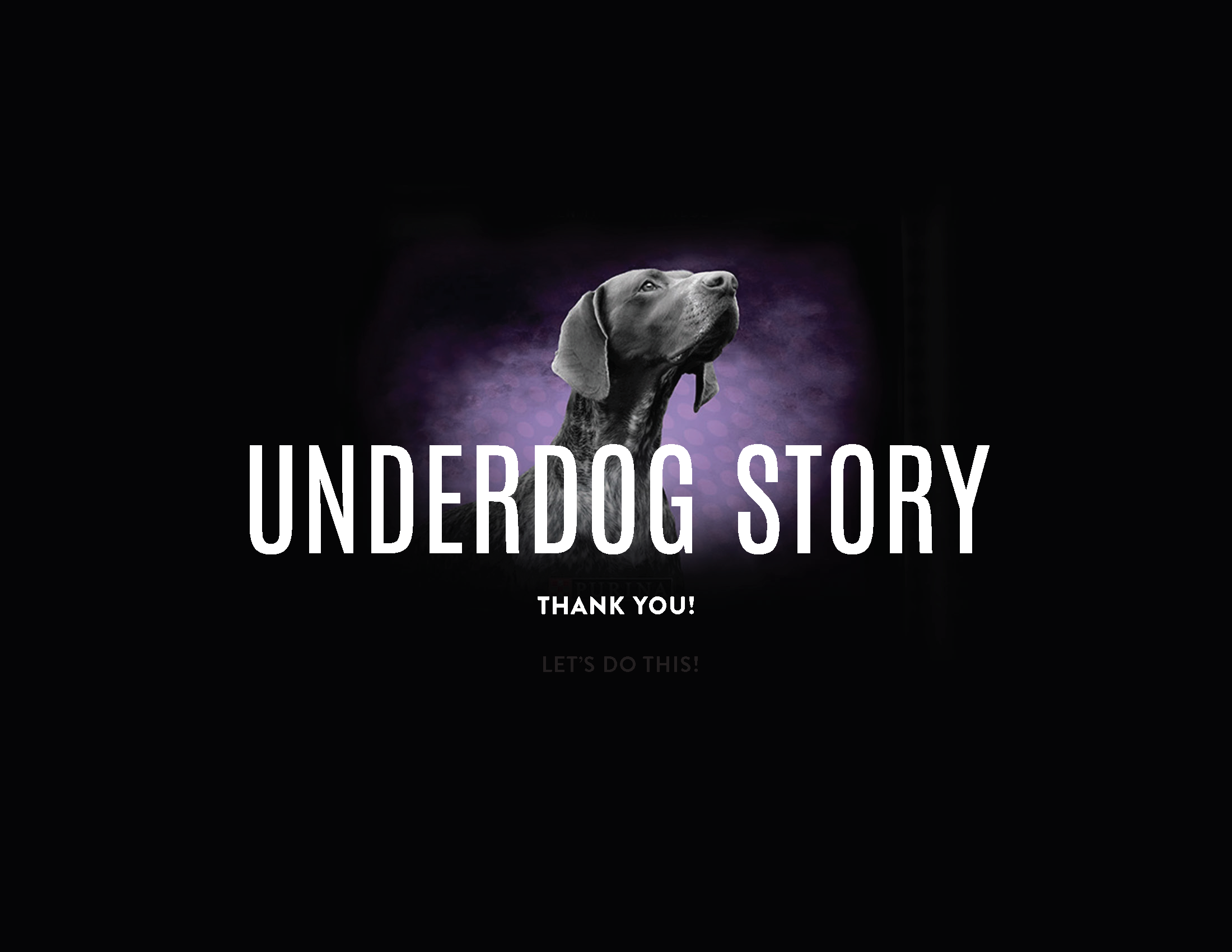 Underdog Deck_Page_13.png