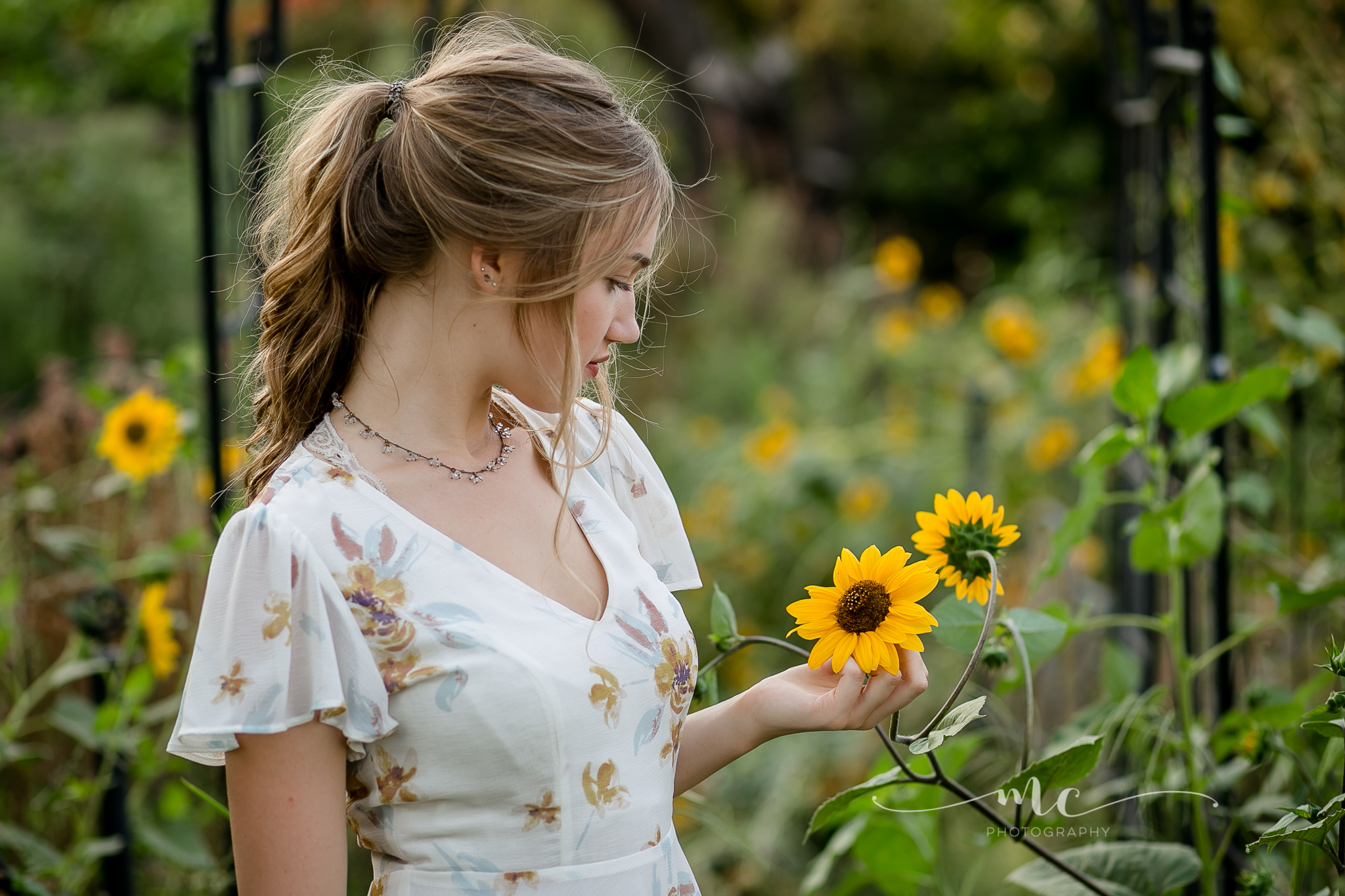  Senior Pictures with sunflowers at West 12 Ranch in Lodi, California 