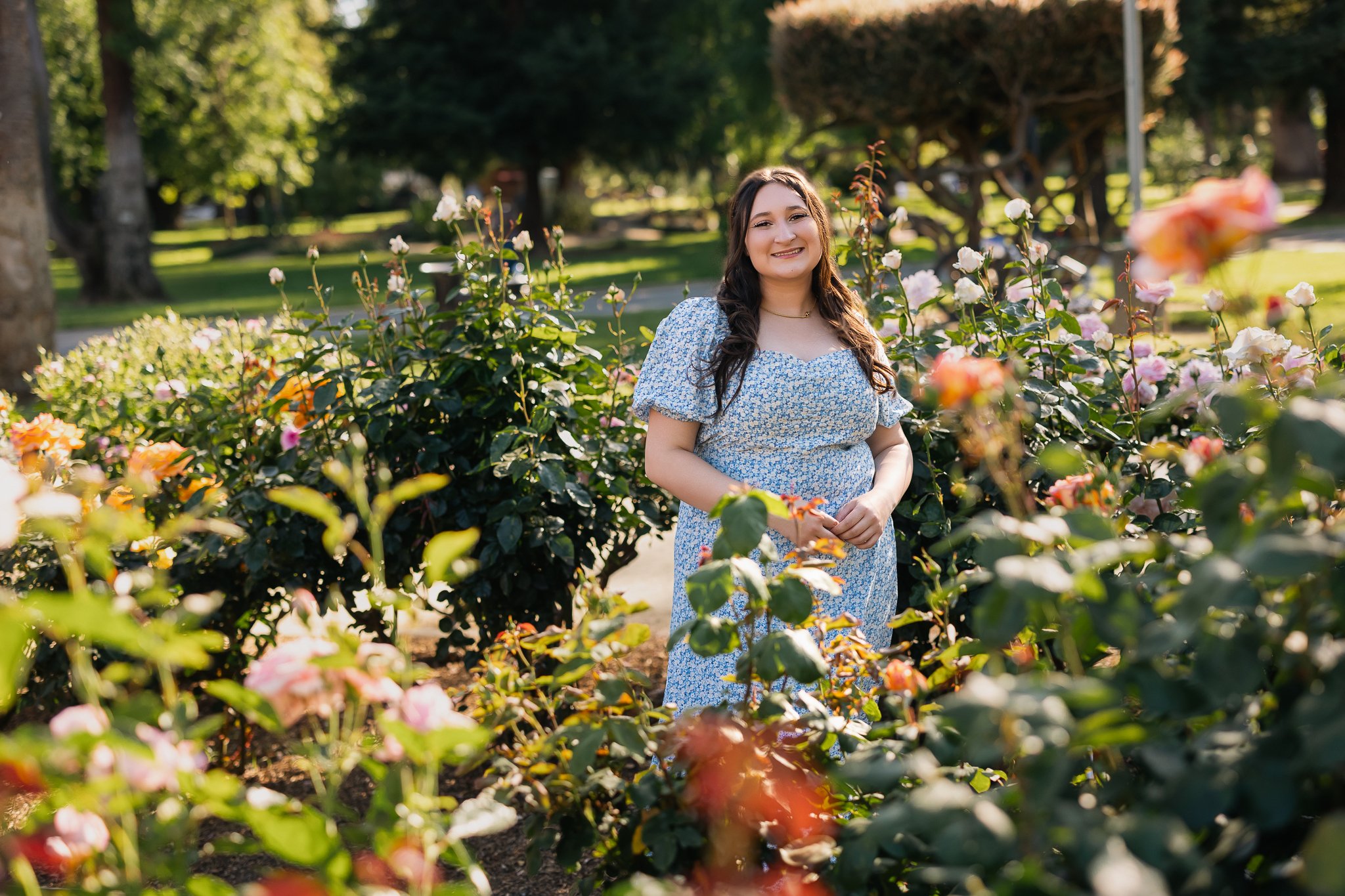 Senior pictures in the rose garden in Sacramento, California