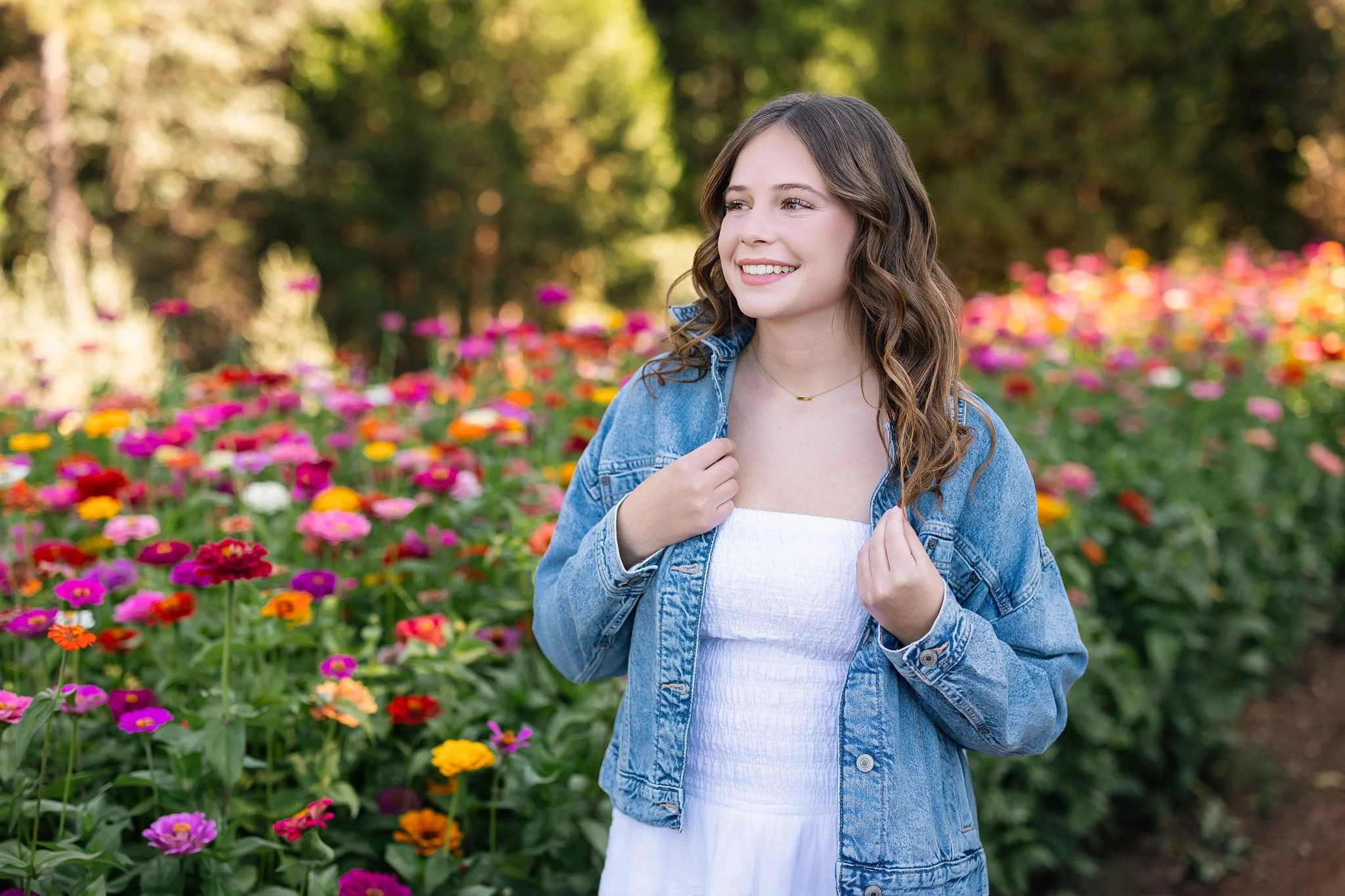 Elk Grove High School senior in a colorful flower field during her fall senior picture session in Apple Hill, California.