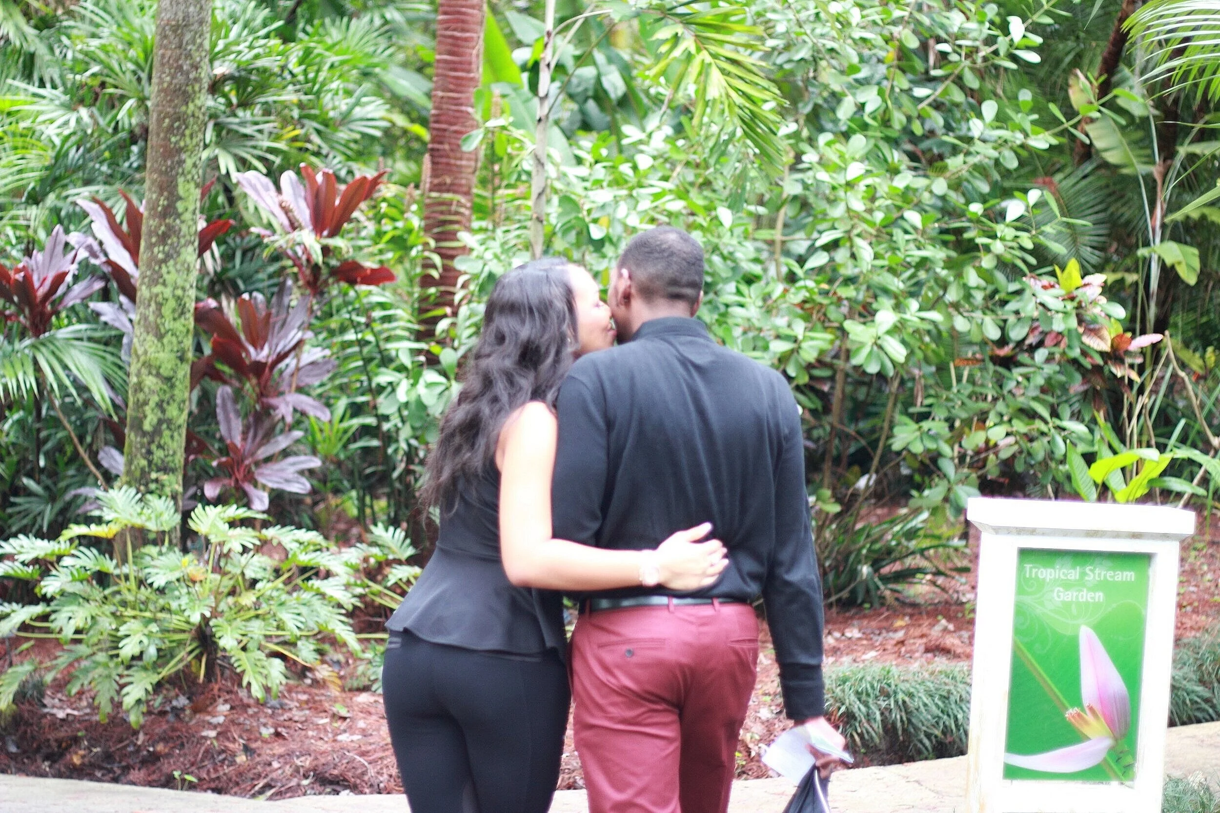 leu gardens orlando proposal