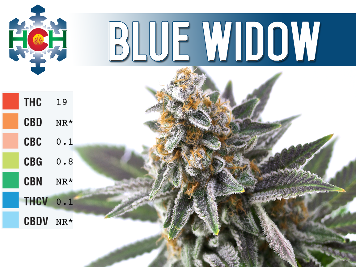 Ramirez_Wooten_Blue Widow.png