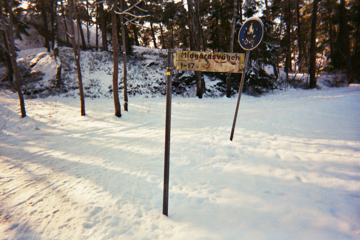 Disp-83.jpg
