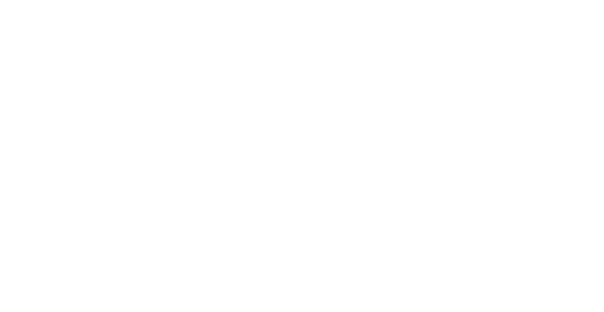 VIVERE FORTIS -logo-white.png