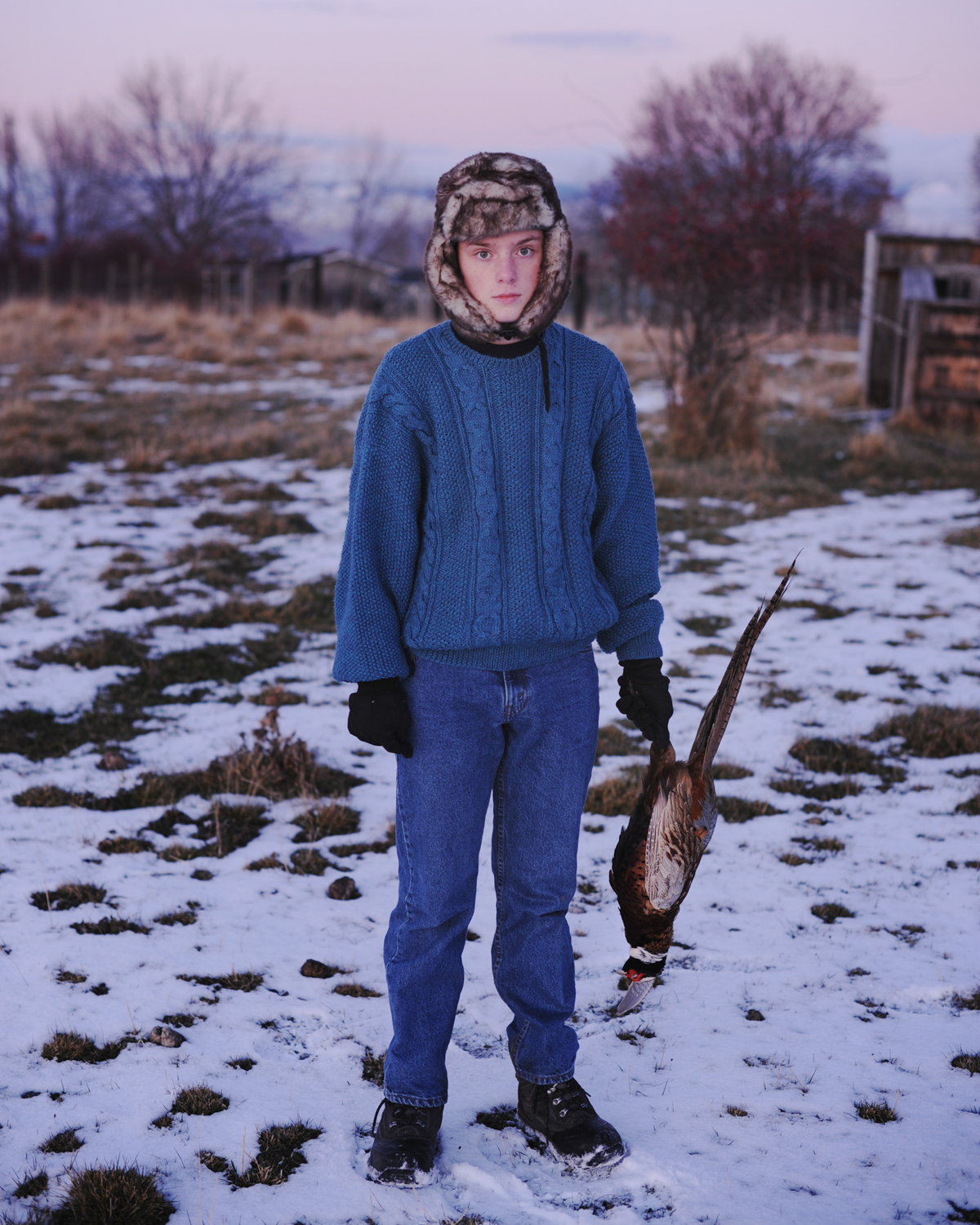 Pheasant Hunting, 2012