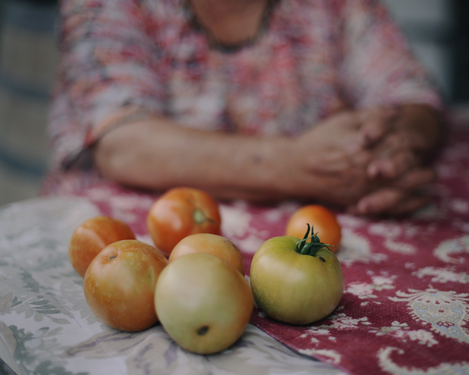 Amuma's Tomatoes, 2012