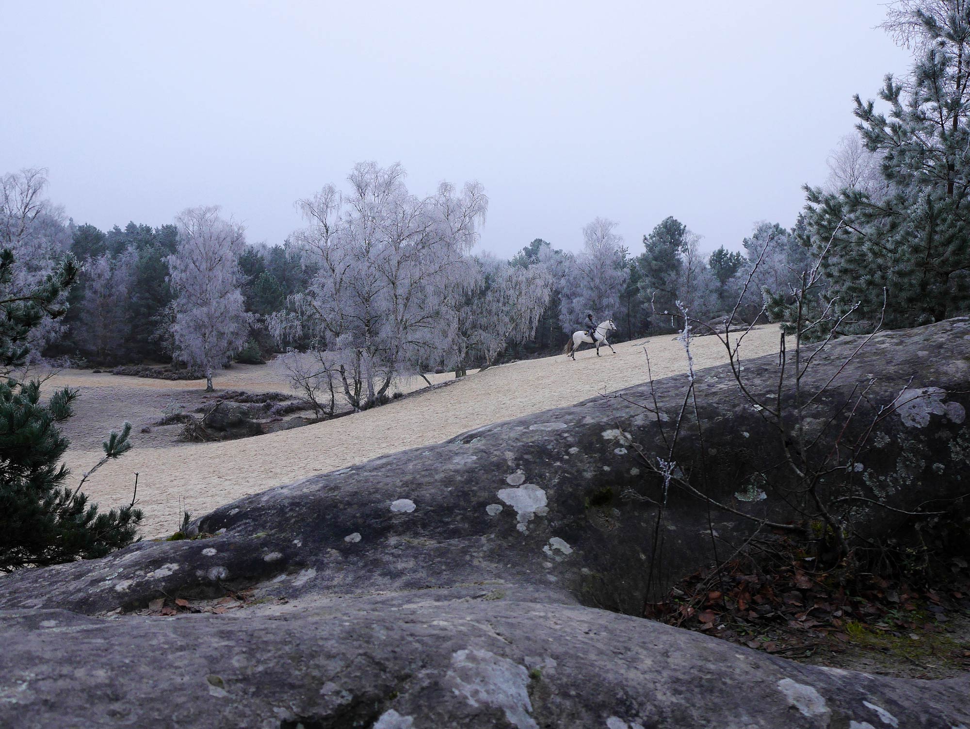 A white horse gallops through the frozen landscape at Cul de Chien — does it get any more magic?