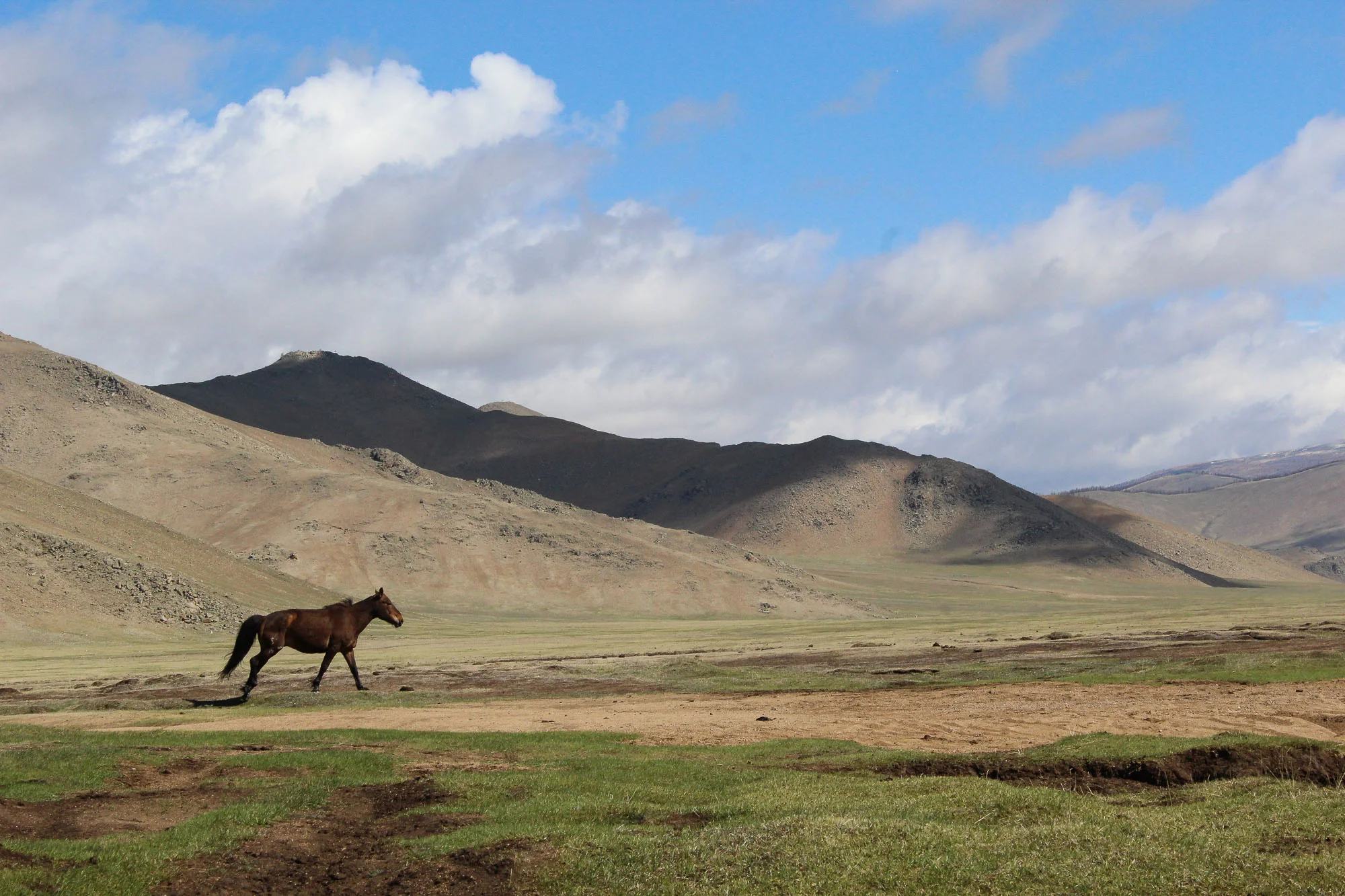 Singing is important in Mongolia. The horsemen sing to praise their horses.