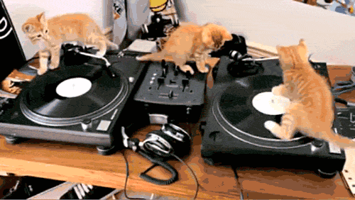 tumblr_luvd84Bx1a1qa9omho1_500.gif