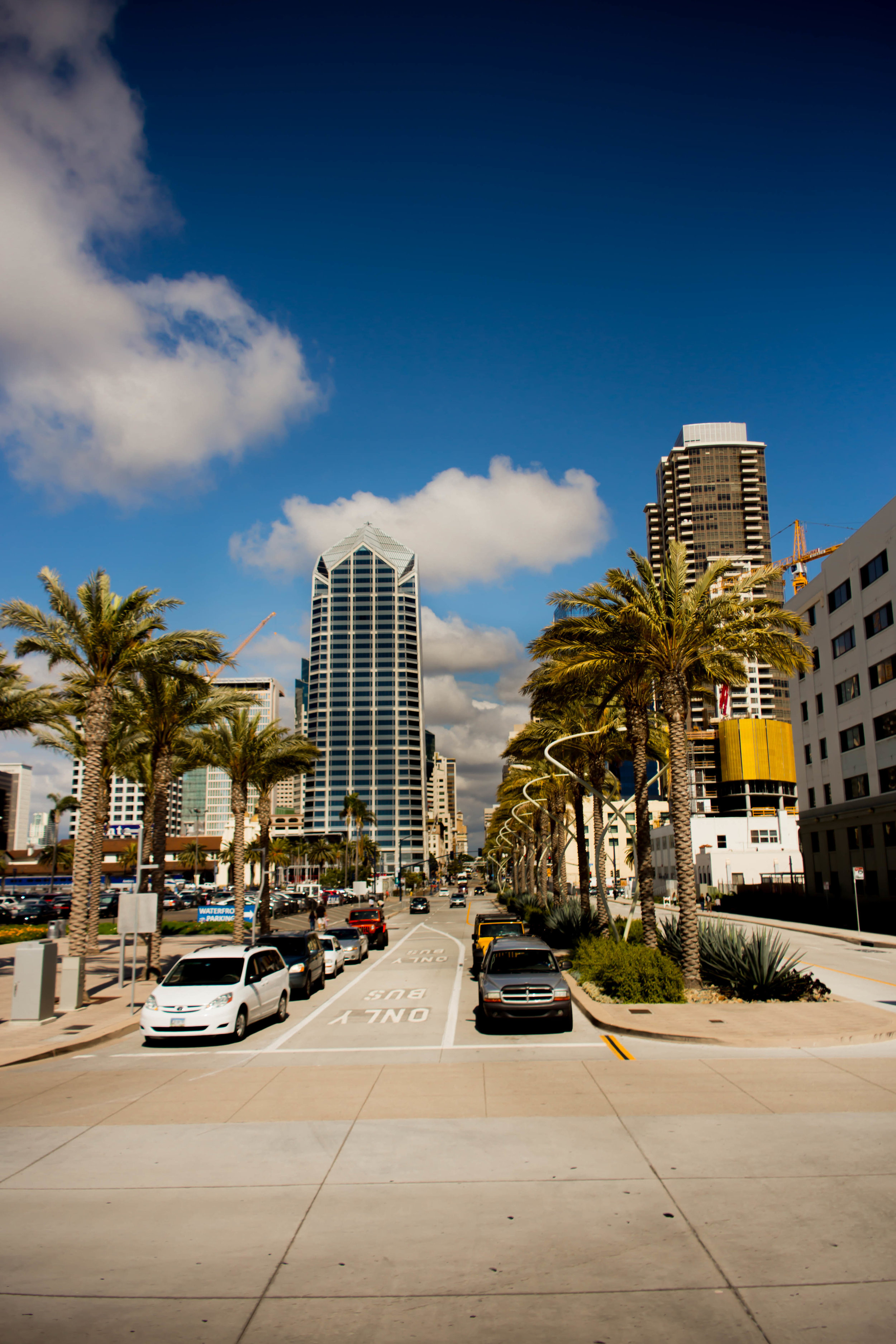 _MG_4158.jpg