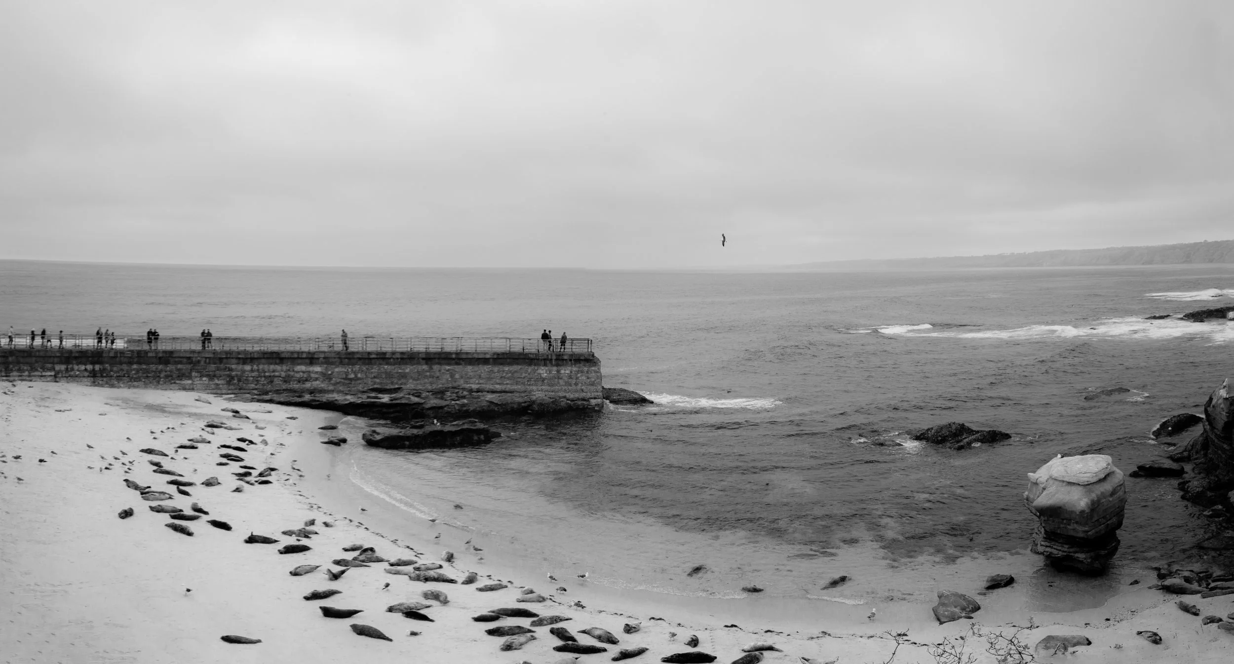 _MG_9731-Pano.jpg