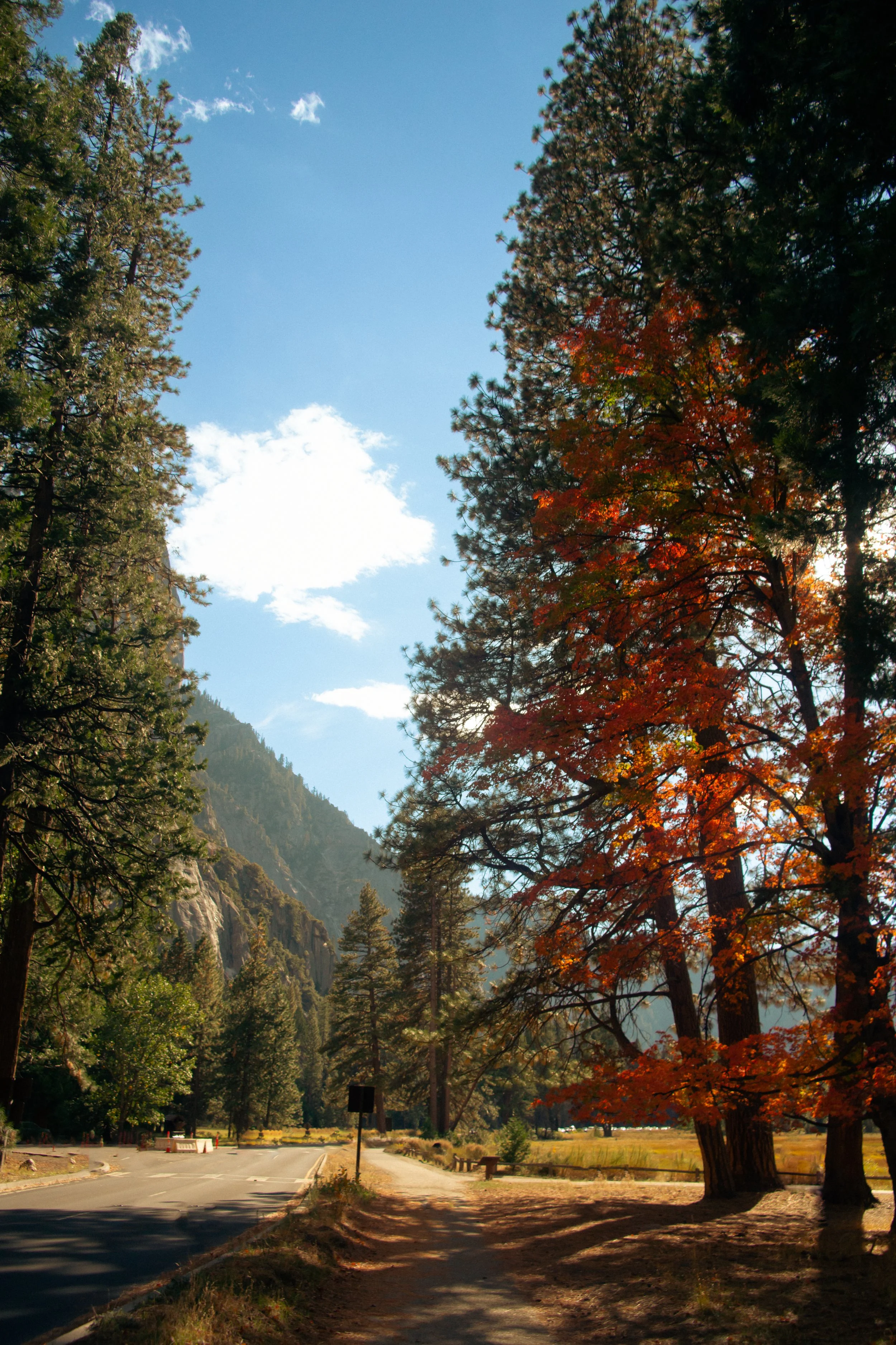 Yosemite_2022-12.jpg