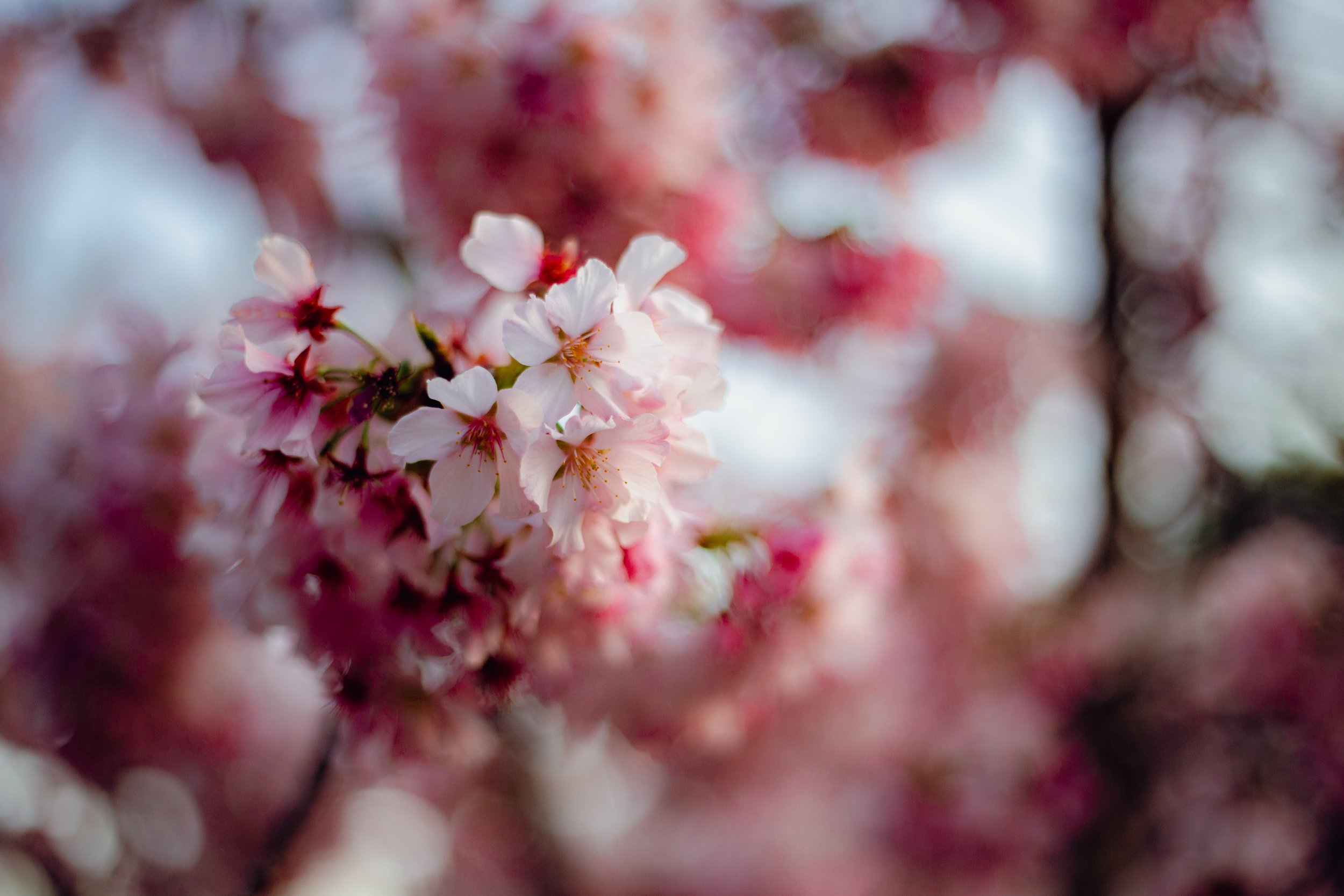 Finalized JFG Part 2-1.jpg