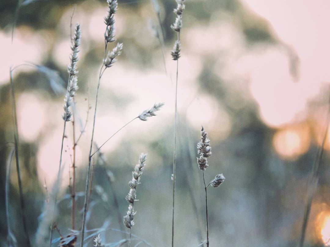 Image by @vince.kirk via Instagram.