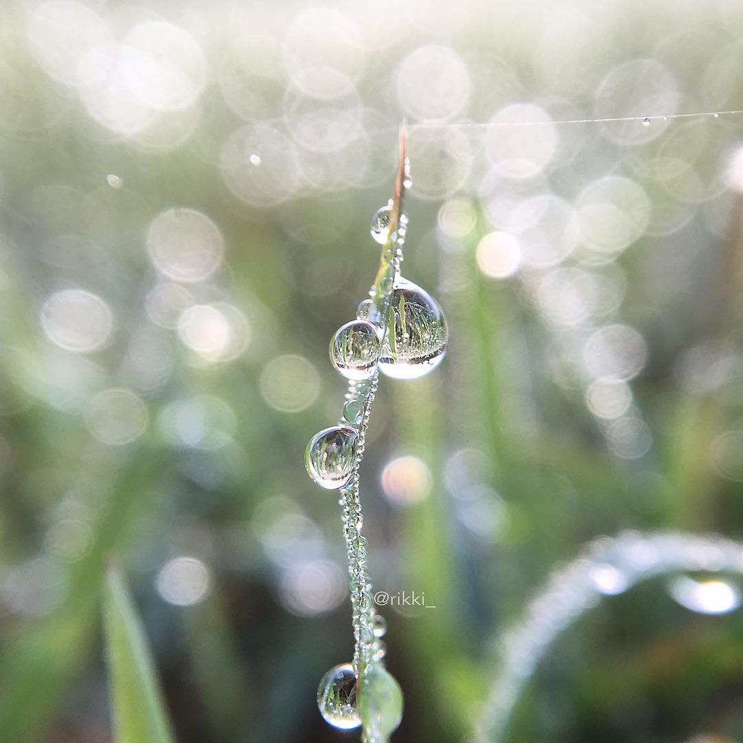 Image by @rikki_ via Instagram.