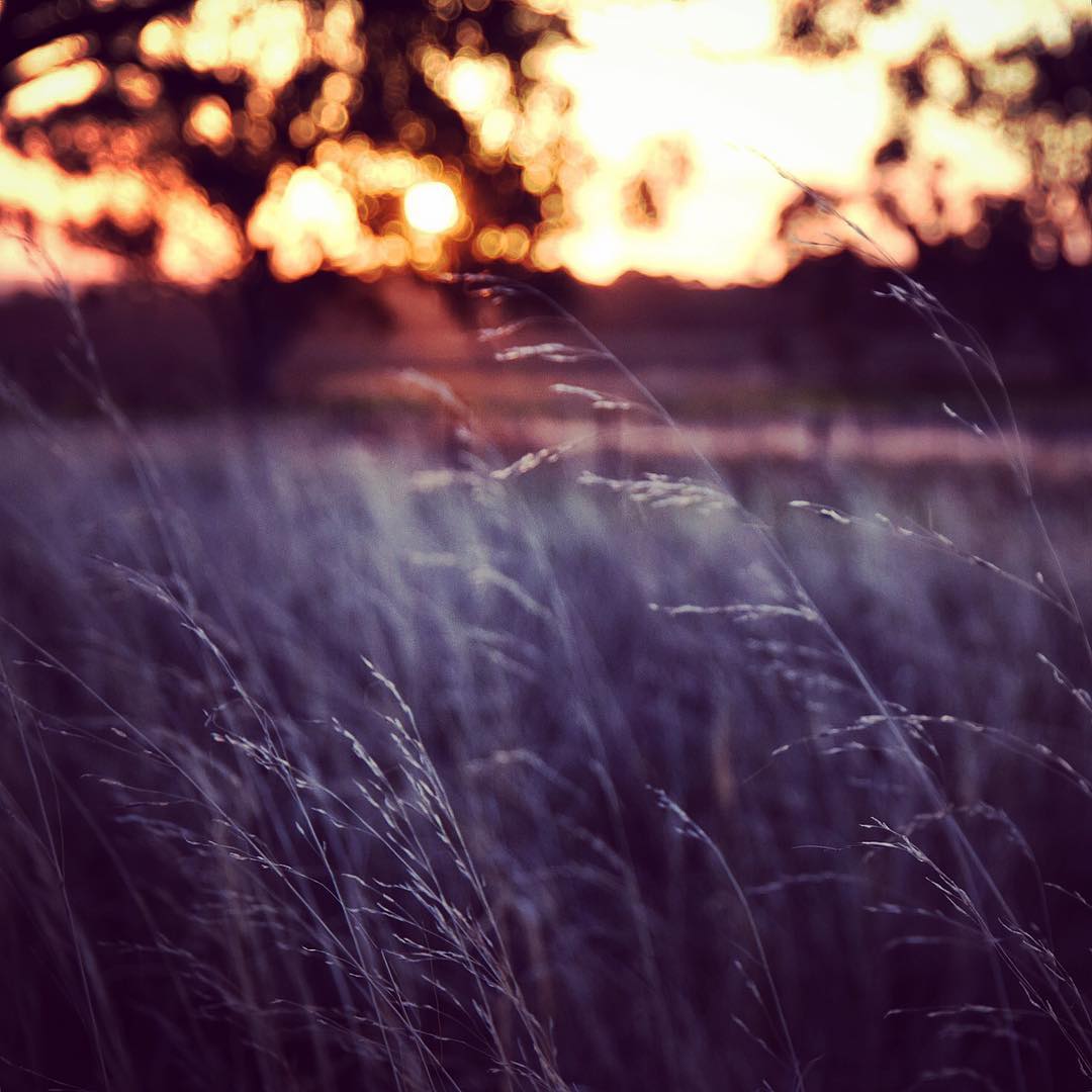 Image by @emandthewildthings via Instagram.