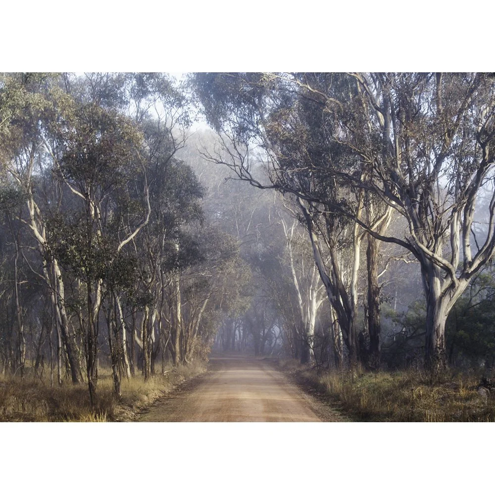 Sandy Creek Rd.JPG