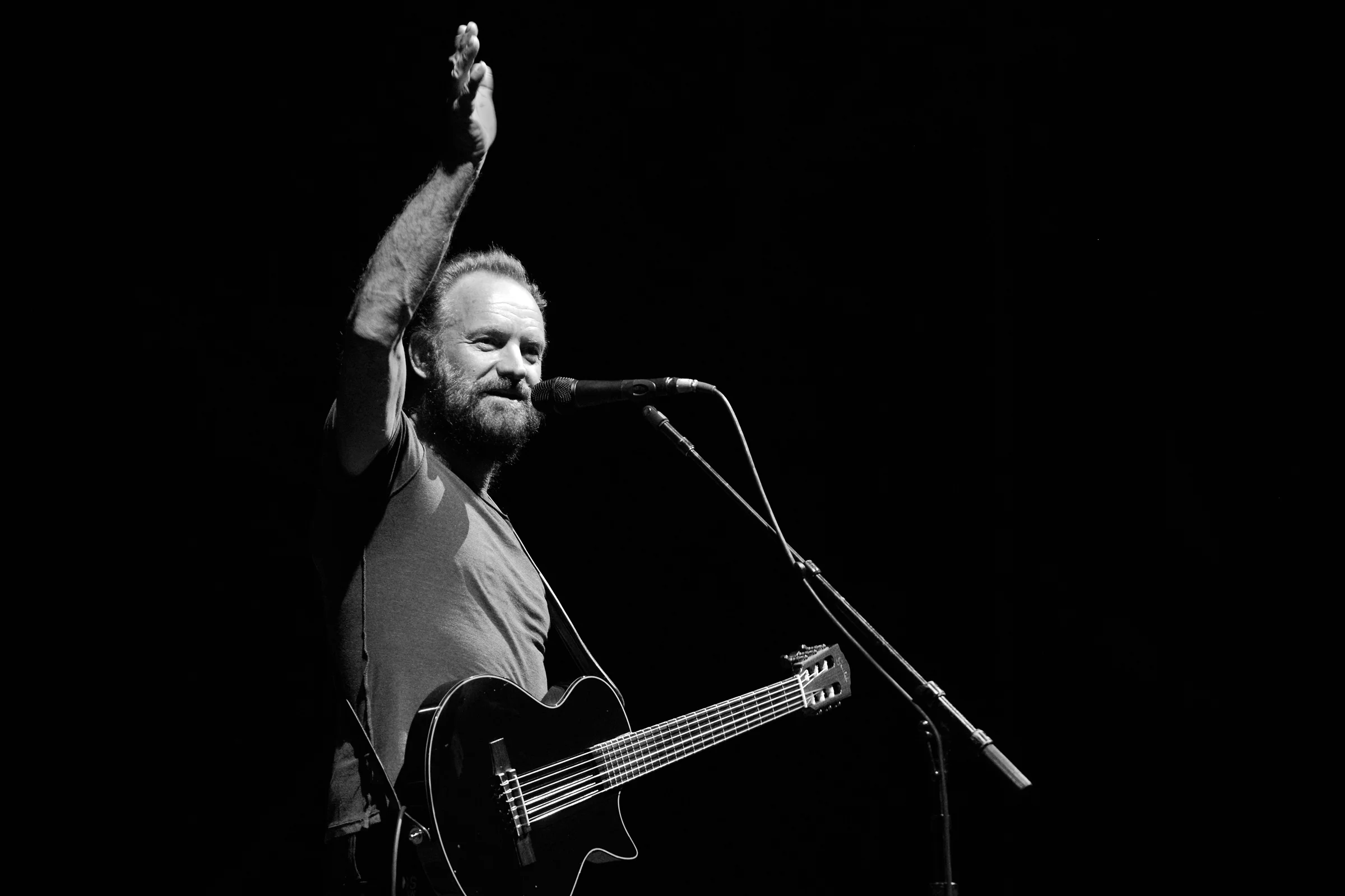 musician_sting_01.jpg