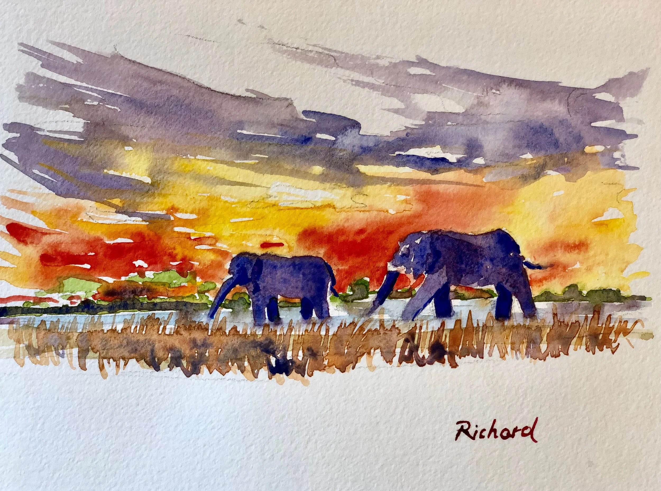 Elephants at Sundowner