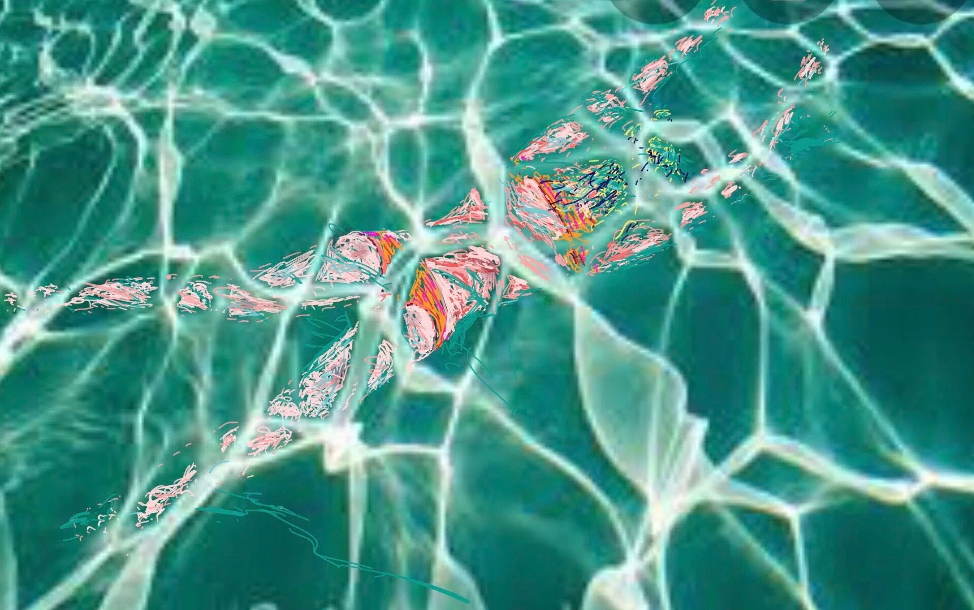 IN THE LIGURIAN SEA.jpeg