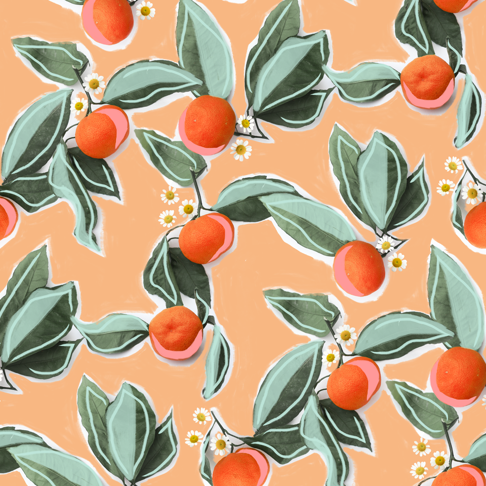 mandarin blossom fabric wallpaper peel stick it samantha santana