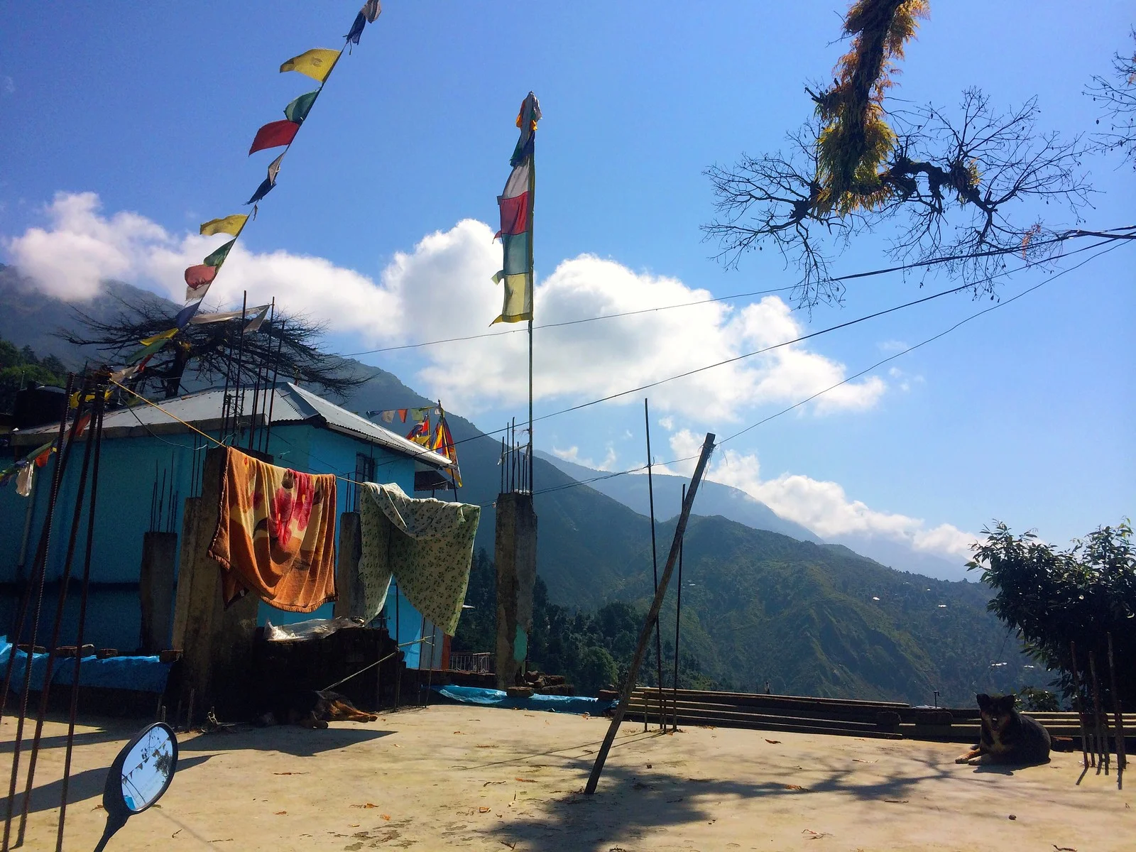 IMG_2577 - Version 2-X3.jpg