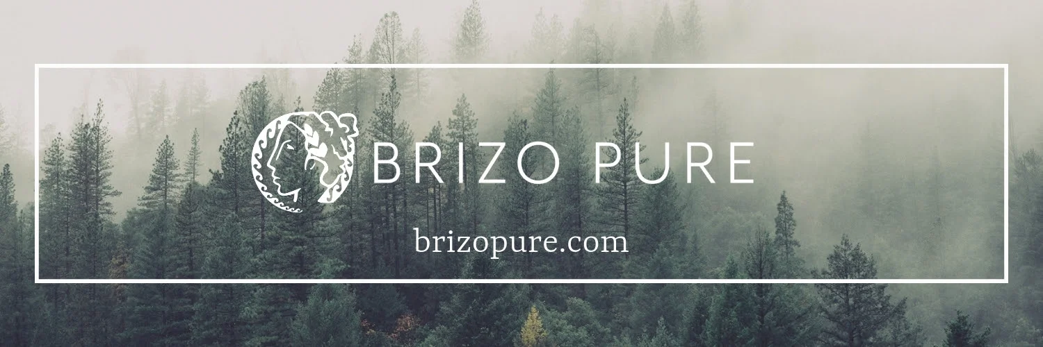BrizoPure.jpg