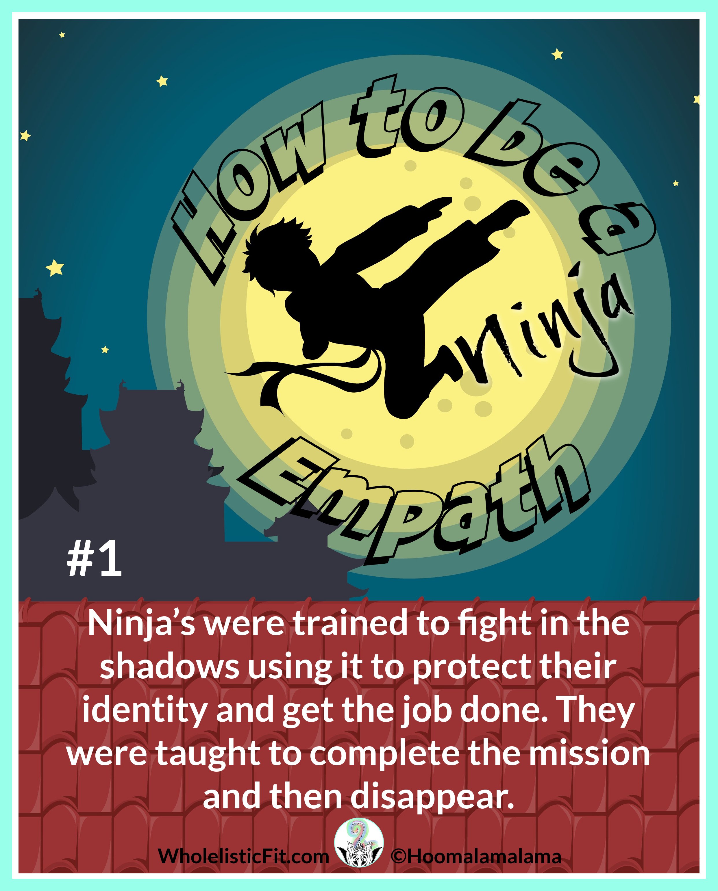 ninja copy 4.jpg