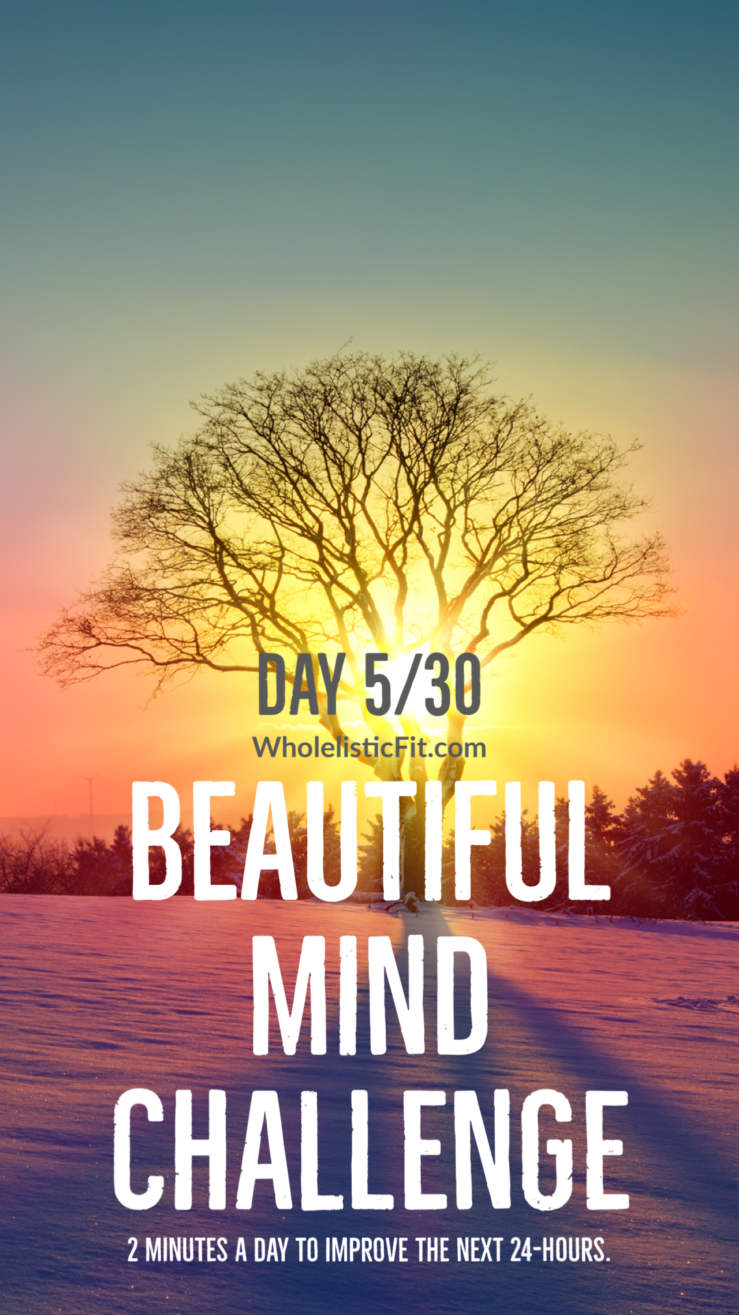 Beautiful Mind Challenge 5/30