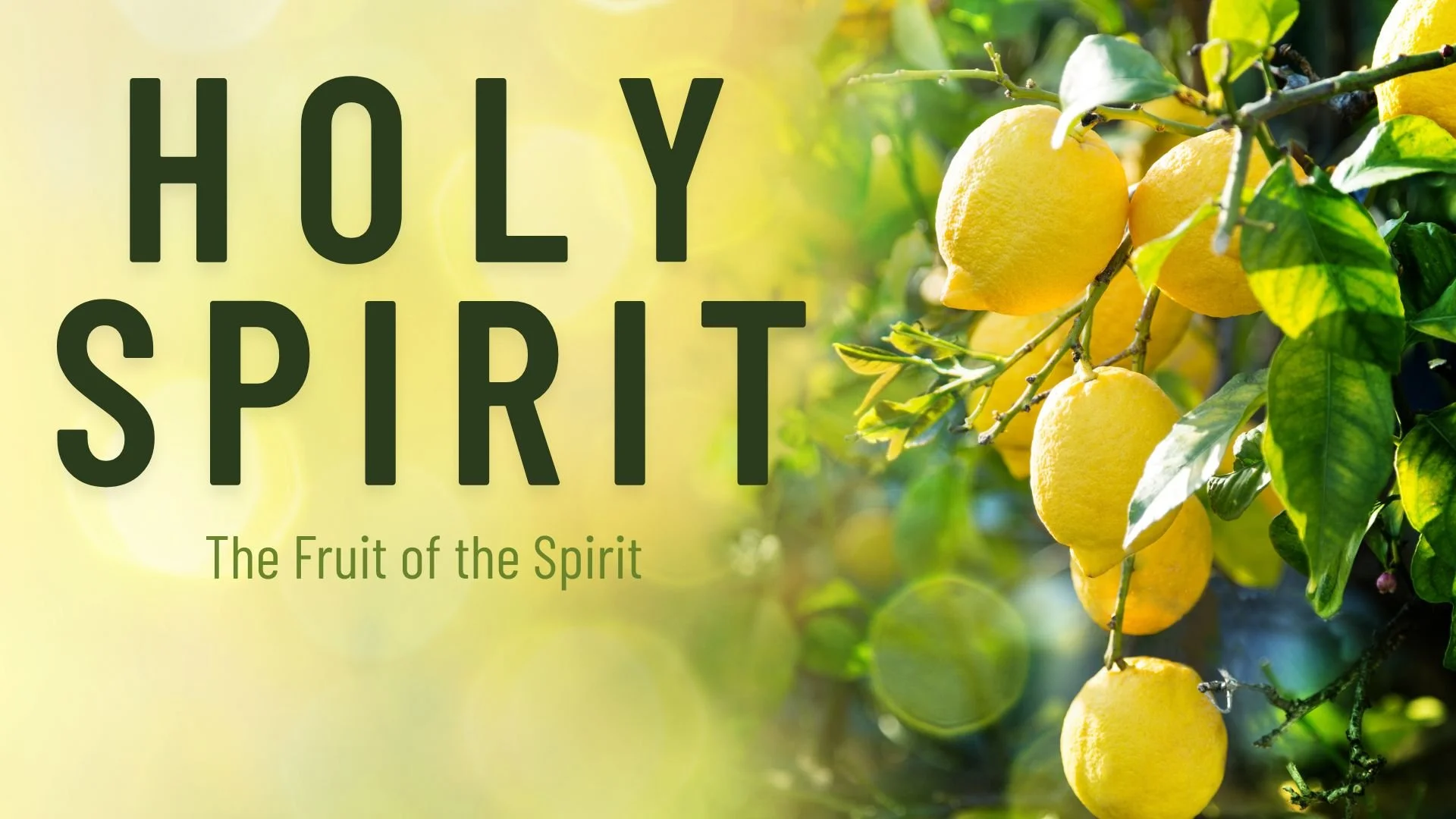 Fruit of the Spirit, May 25, 2025