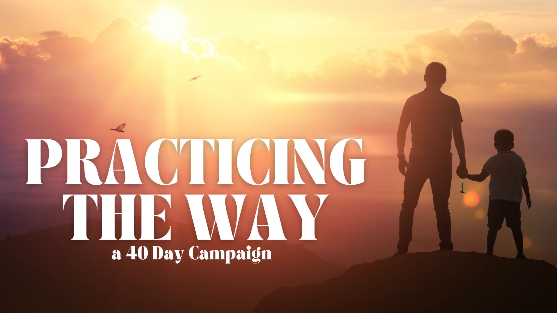 Practicing the Way - 40 Day Campaign.jpg