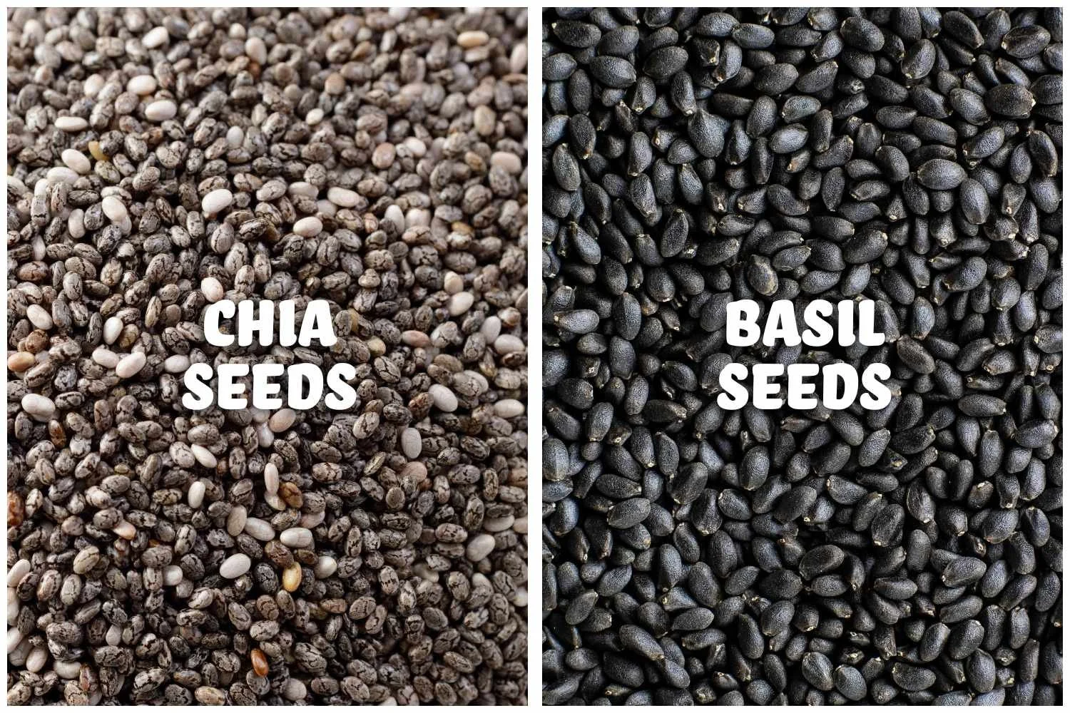 The Truth About Superfoods: Why Zen Basil Seeds Are Better Than Chia ...