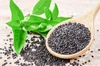 Zen Basil Seeds — Zen Basil | Organic Basil Seeds | High Fiber Superfoods