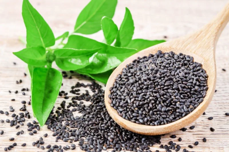 Levels Love Zen Basil Seeds for Metabolic Health — Zen Basil Organic